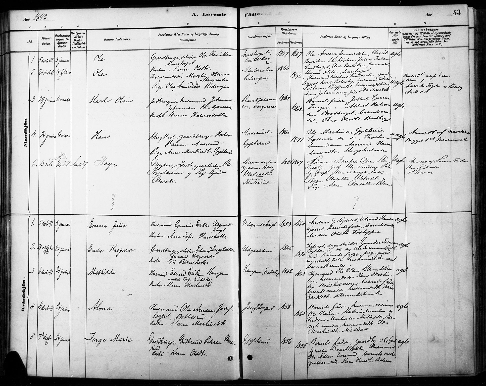 Vinger prestekontor, AV/SAH-PREST-024/H/Ha/Haa/L0015: Ministerialbok nr. 15, 1881-1900, s. 43