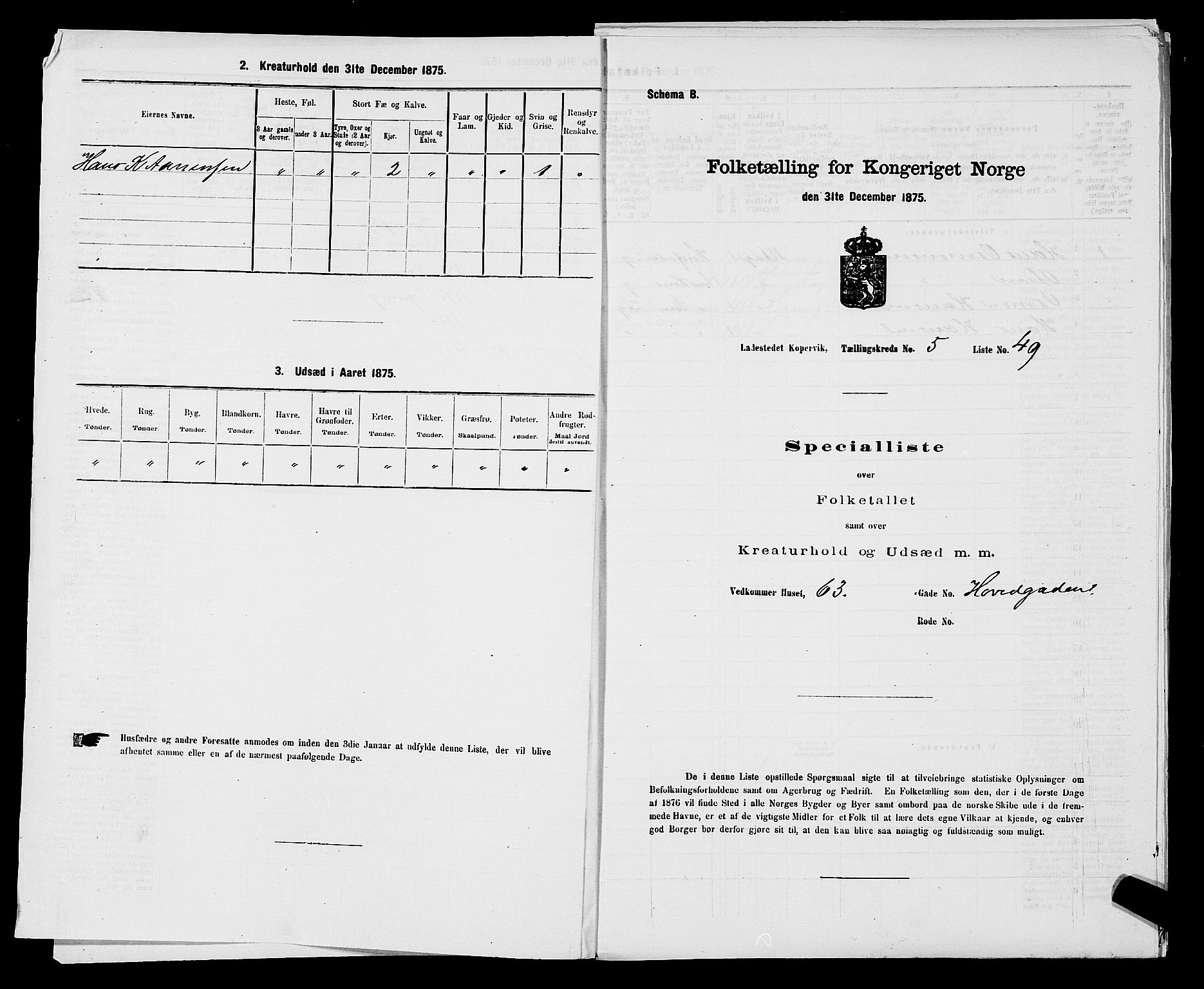 SAST, Folketelling 1875 for 1105B Avaldsnes prestegjeld, Kopervik ladested, 1875, s. 96