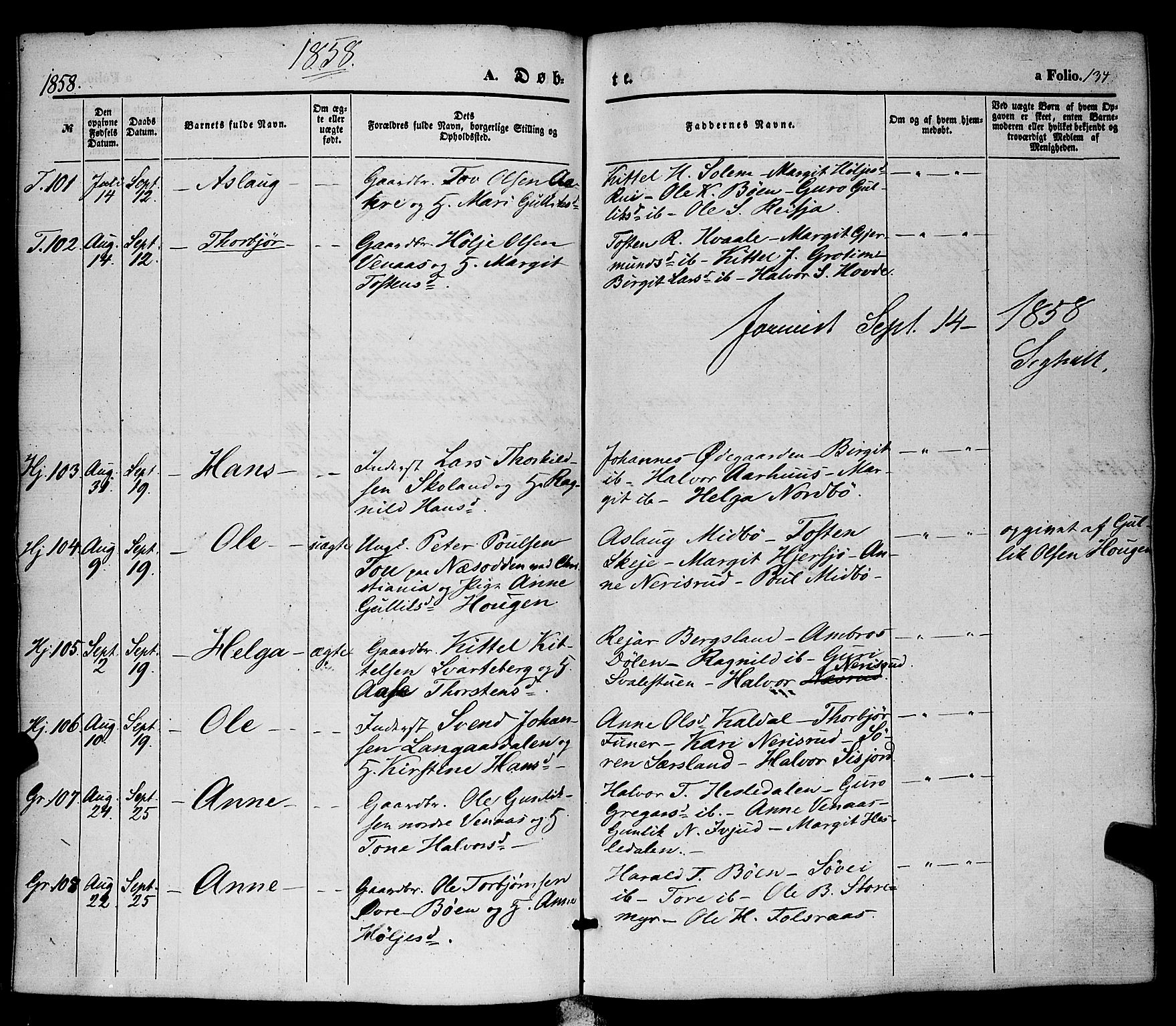 Hjartdal kirkebøker, AV/SAKO-A-270/F/Fa/L0008: Ministerialbok nr. I 8, 1844-1859, s. 134