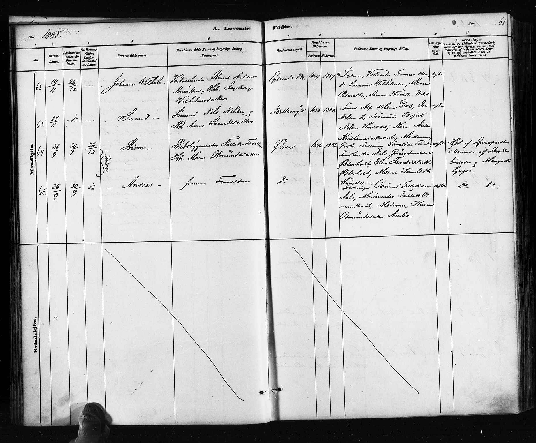 Søndeled sokneprestkontor, AV/SAK-1111-0038/F/Fa/L0004: Ministerialbok nr. A 4, 1880-1889, s. 61