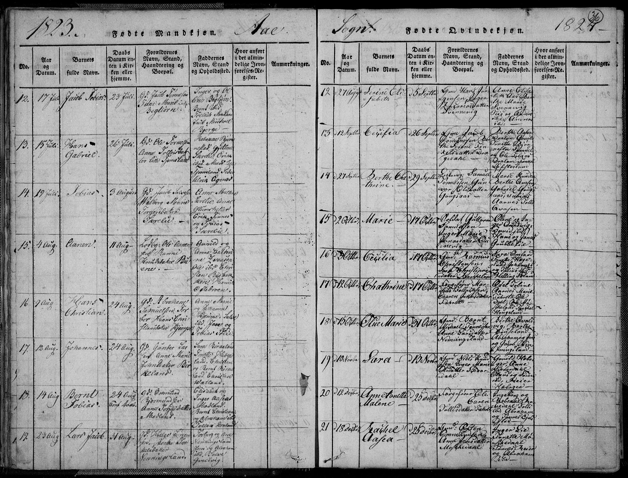 Lyngdal sokneprestkontor, AV/SAK-1111-0029/F/Fa/Fac/L0006: Ministerialbok nr. A 6, 1815-1825, s. 36