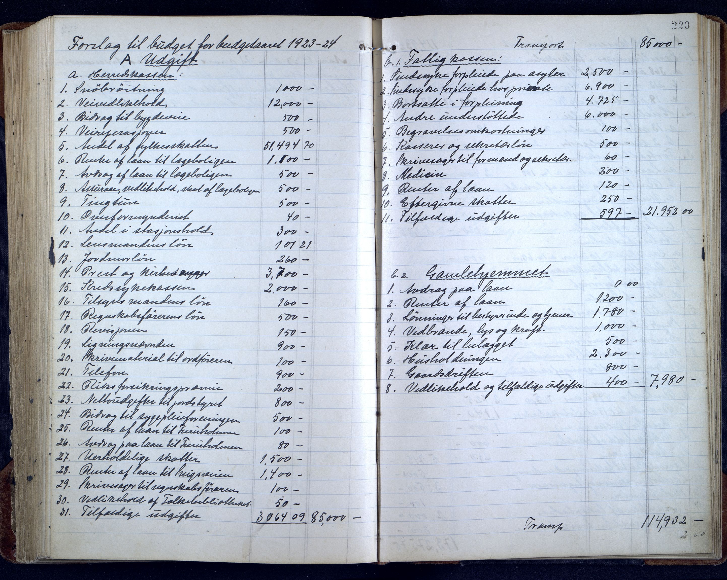 Sør-Audnedal kommune - Formannskapet/Kommunestyret, ARKSOR/1029SØ120/A/L0005: Møtebok, 1916-1925, s. 222b-223a