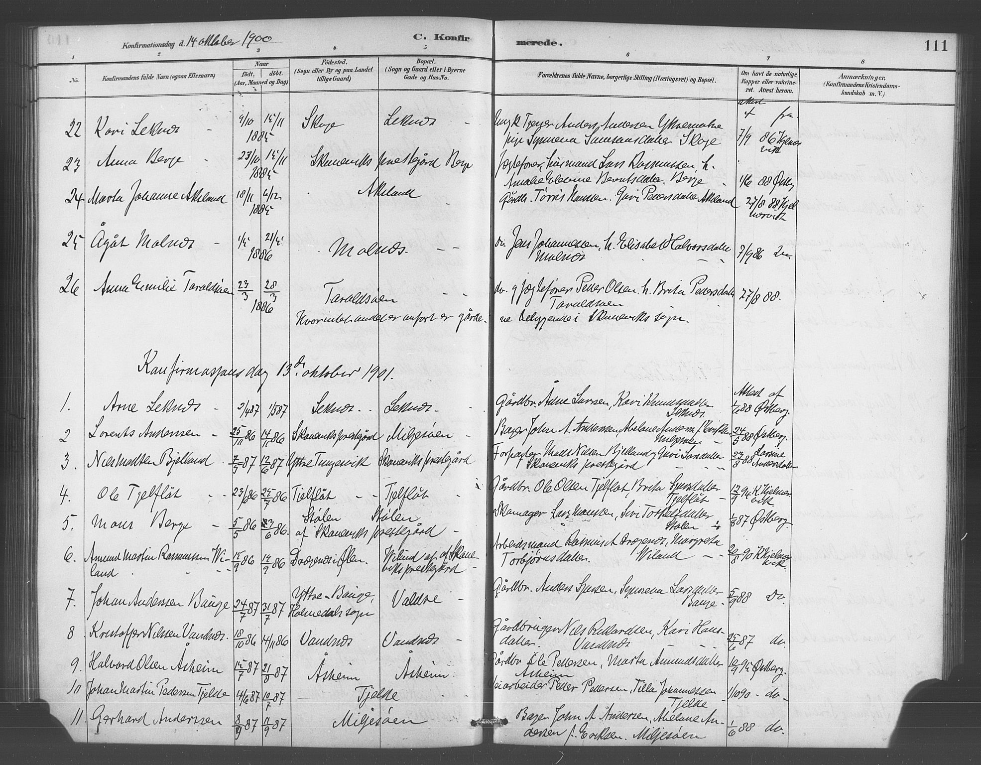 Skånevik sokneprestembete, AV/SAB-A-77801/H/Hab: Klokkerbok nr. A 2, 1888-1924, s. 111