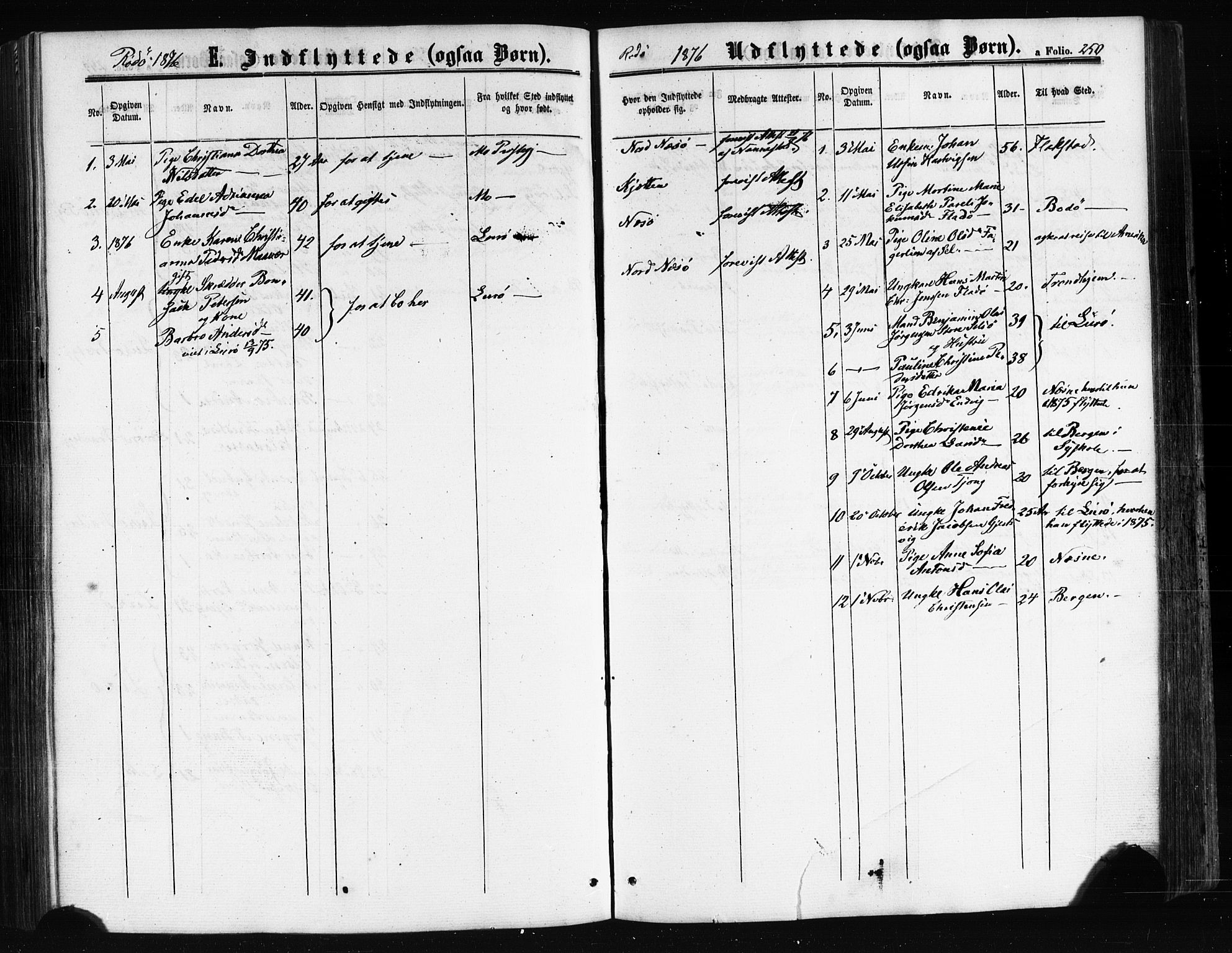 Ministerialprotokoller, klokkerbøker og fødselsregistre - Nordland, AV/SAT-A-1459/841/L0607: Ministerialbok nr. 841A11 /1, 1863-1877, s. 250