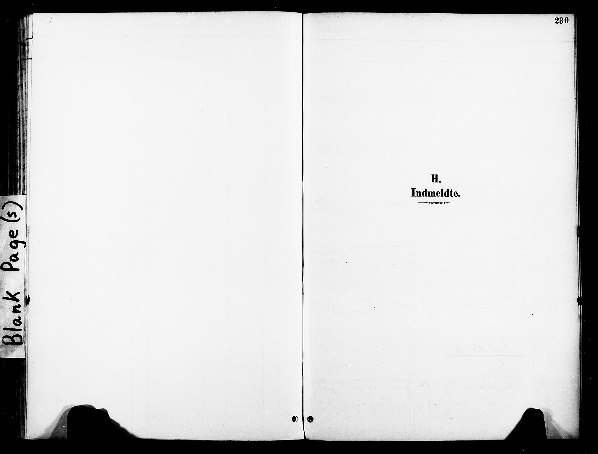 Ministerialprotokoller, klokkerbøker og fødselsregistre - Nord-Trøndelag, SAT/A-1458/739/L0372: Ministerialbok nr. 739A04, 1895-1903, s. 230