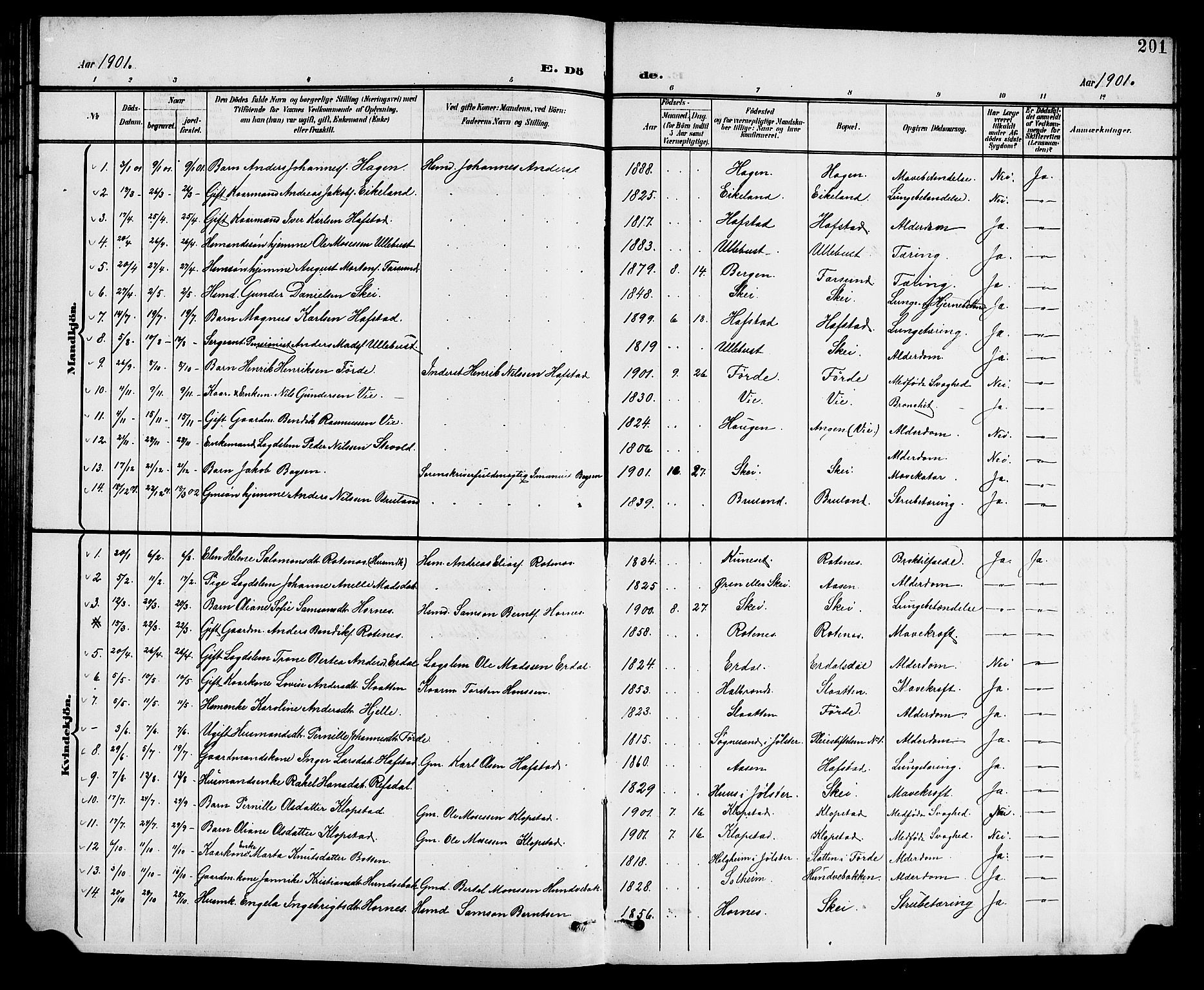 Førde sokneprestembete, AV/SAB-A-79901/H/Hab/Haba/L0003: Klokkerbok nr. A 3, 1899-1924, s. 201