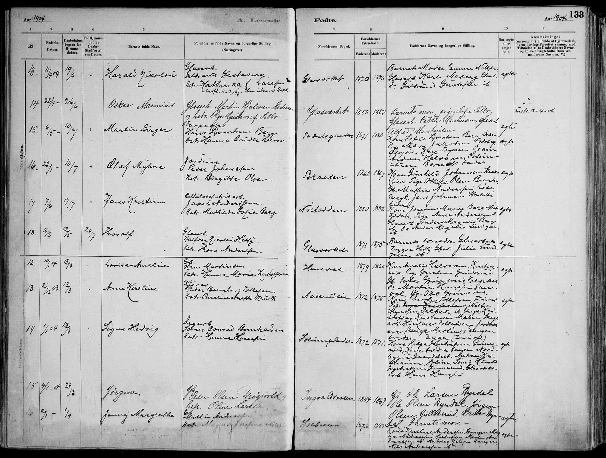 Skoger kirkebøker, AV/SAKO-A-59/F/Fa/L0006: Ministerialbok nr. I 6, 1885-1910, s. 133