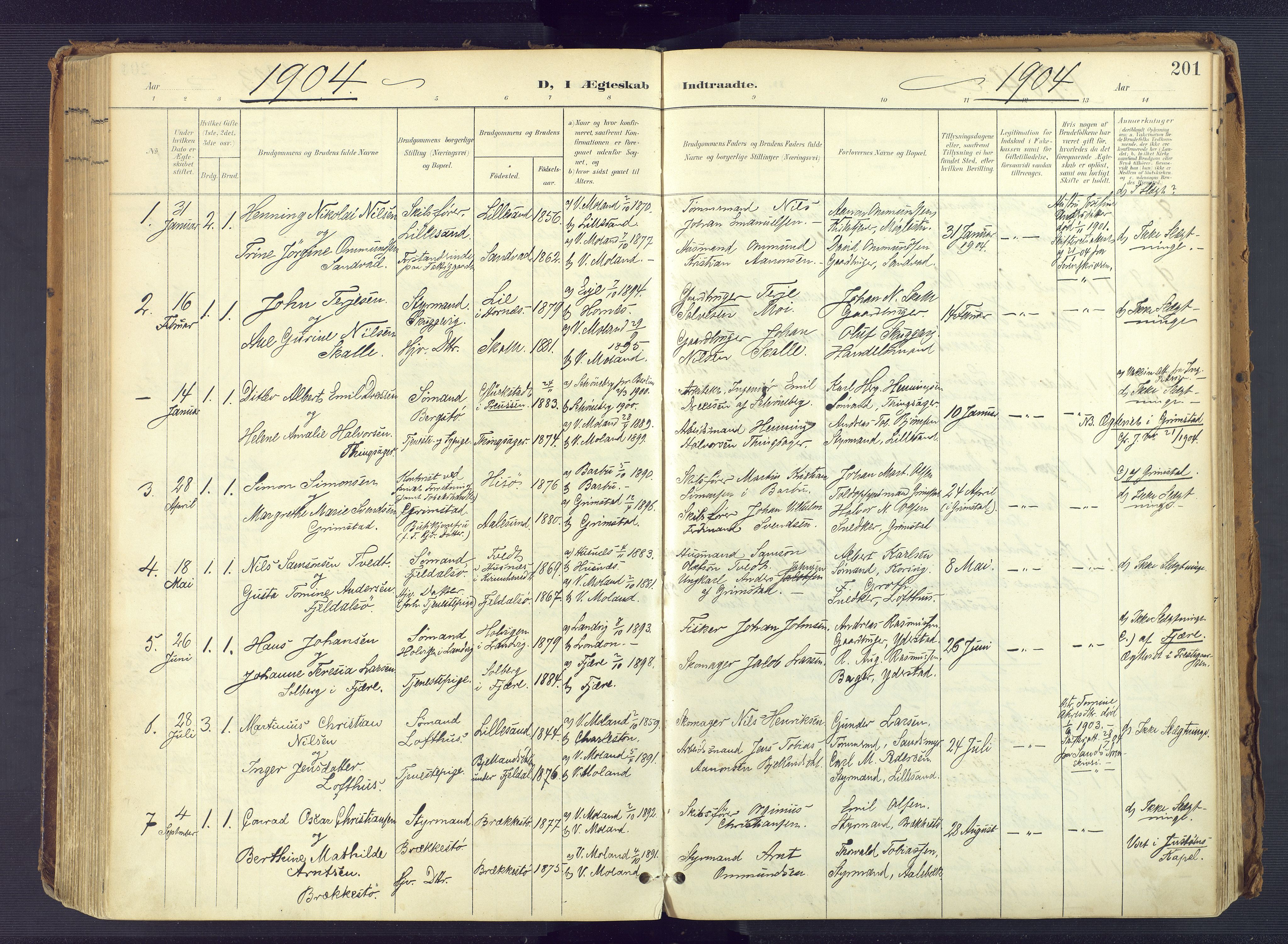 Vestre Moland sokneprestkontor, AV/SAK-1111-0046/F/Fa/Fab/L0010: Ministerialbok nr. A 10, 1900-1926, s. 201
