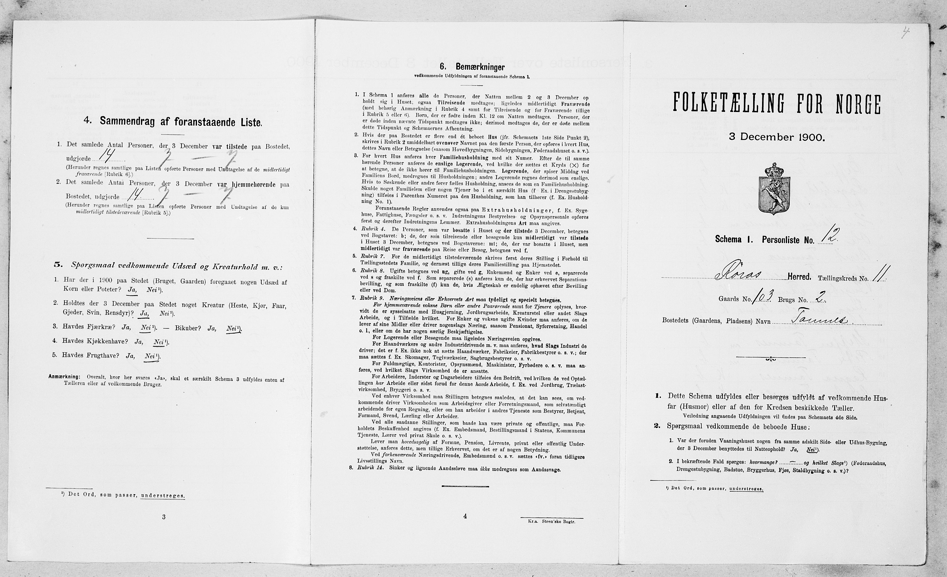 SAT, Folketelling 1900 for 1640 Røros herred, 1900, s. 1166