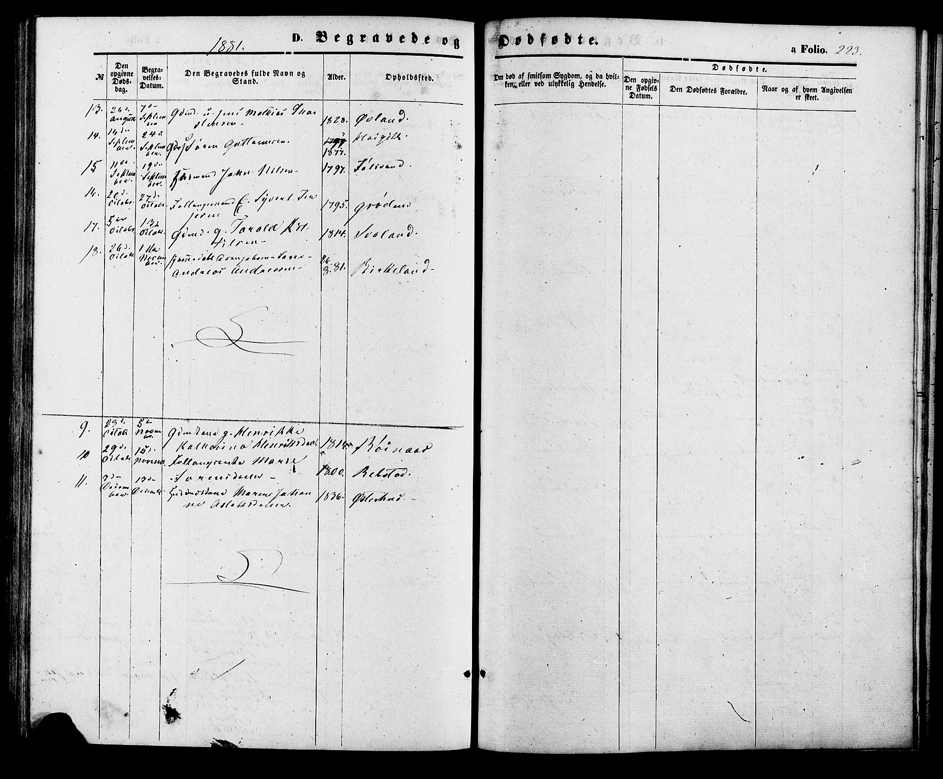 Birkenes sokneprestkontor, AV/SAK-1111-0004/F/Fa/L0004: Ministerialbok nr. A 4, 1867-1886, s. 223