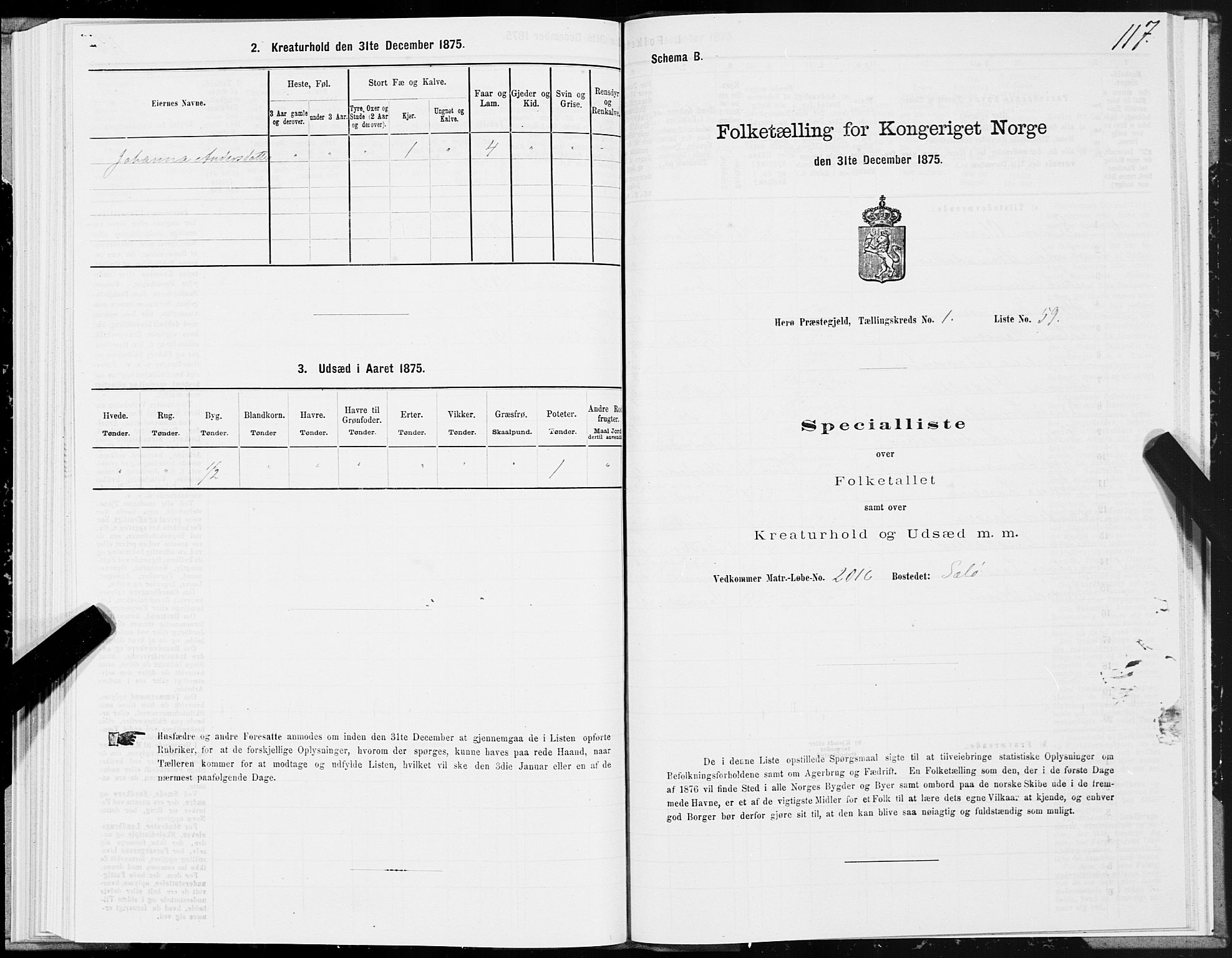 SAT, Folketelling 1875 for 1818P Herøy prestegjeld, 1875, s. 1117