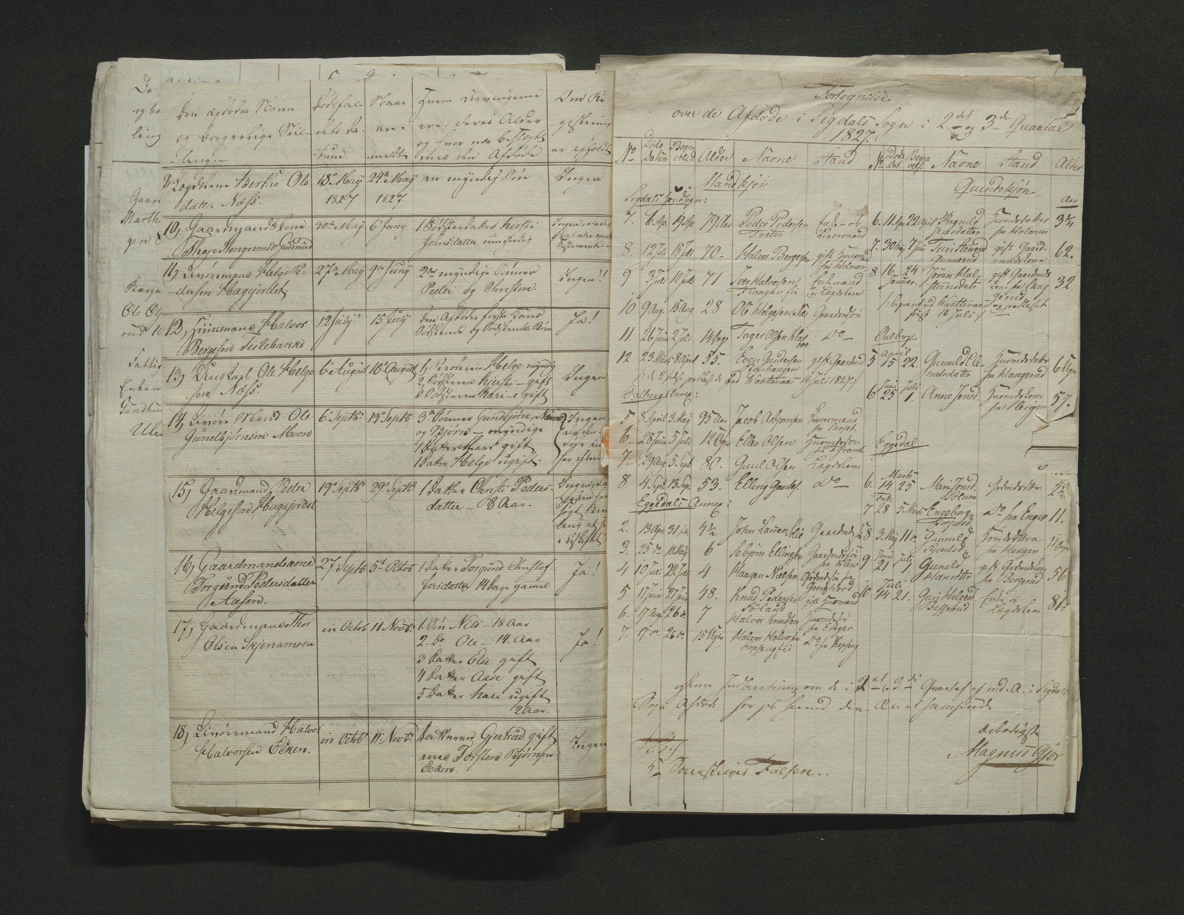 Eiker, Modum og Sigdal sorenskriveri, AV/SAKO-A-123/H/Ha/Hab/L0002: Dødsfallsmeldinger, 1823-1829, s. 213