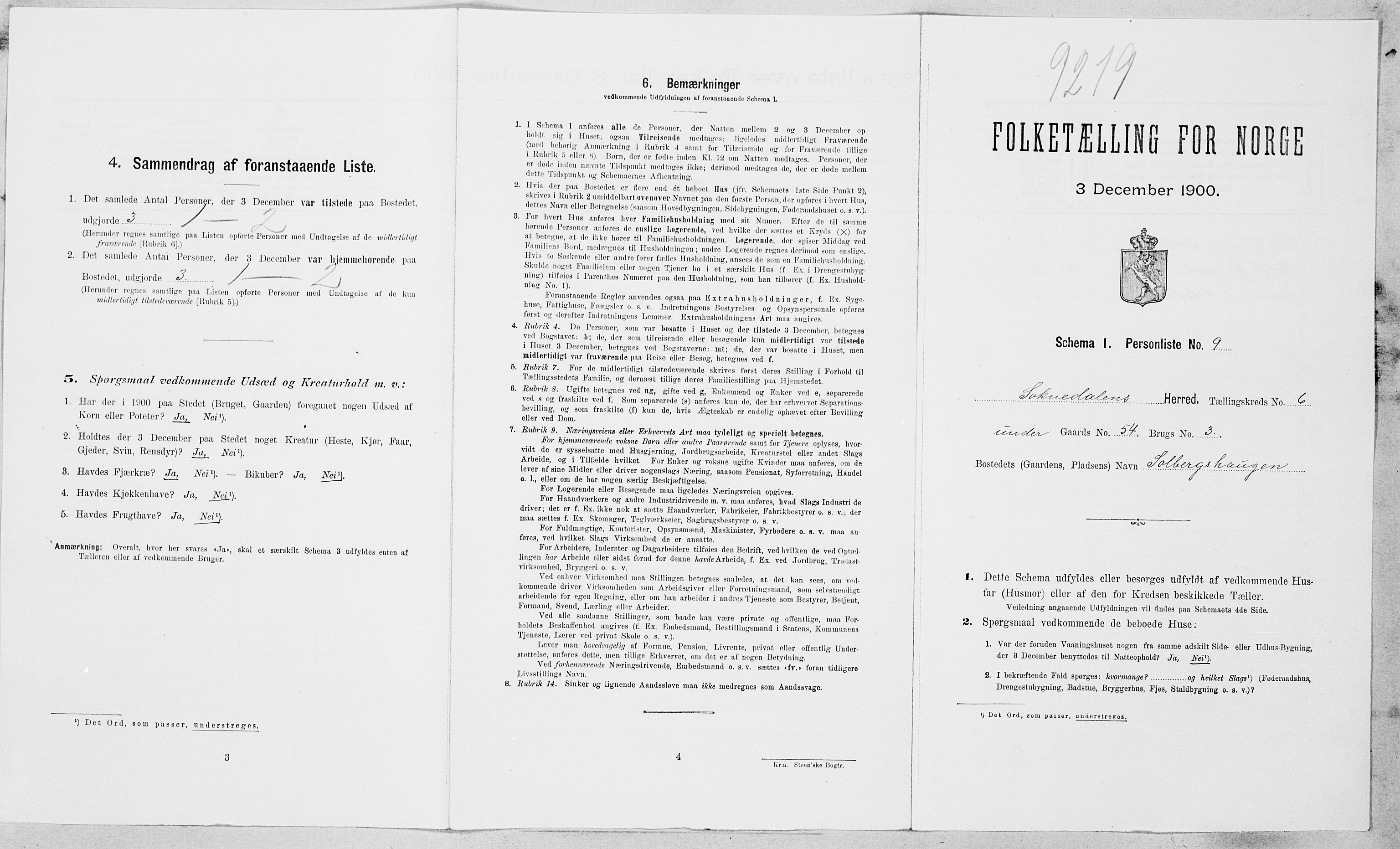 SAT, Folketelling 1900 for 1649 Soknedal herred, 1900, s. 432