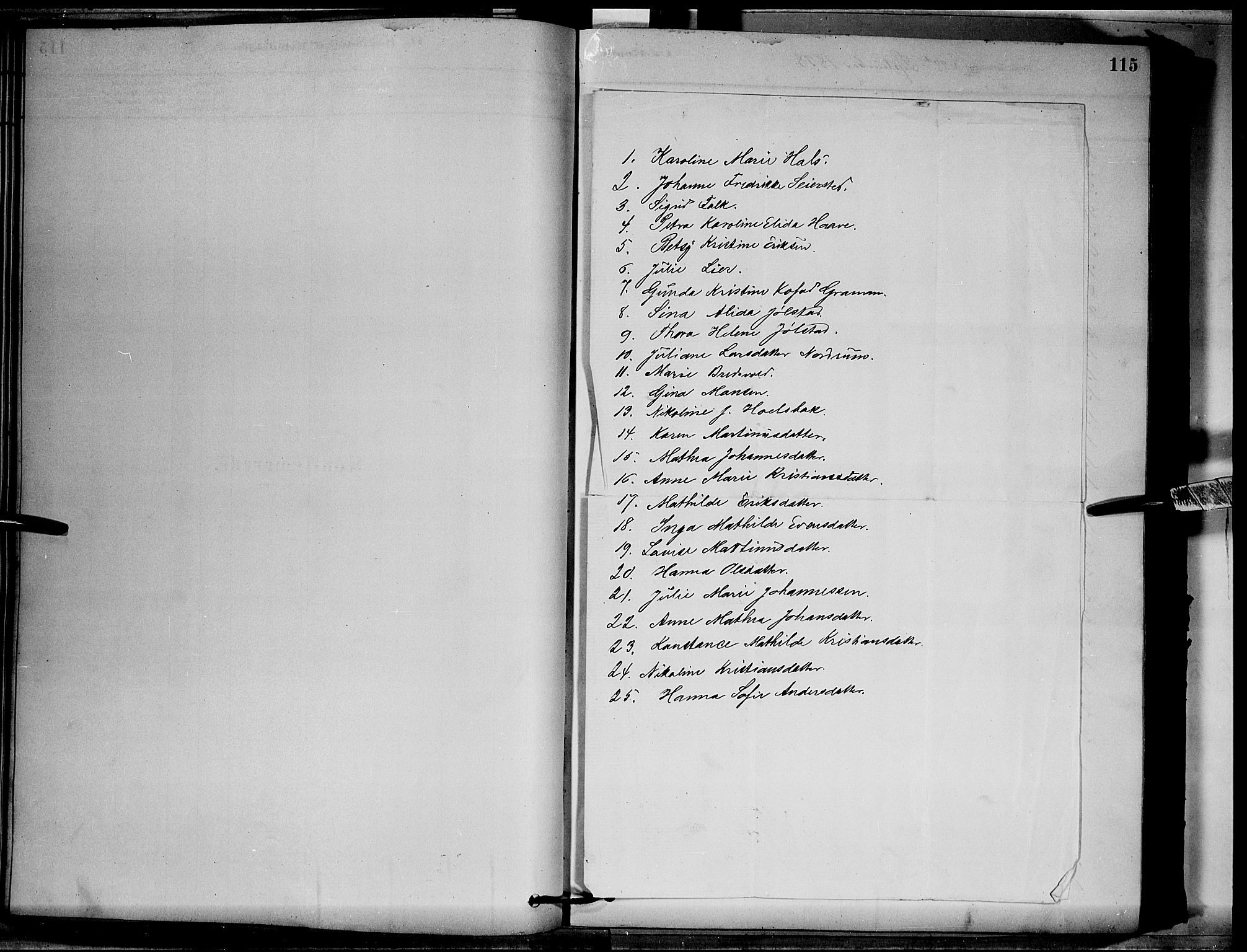 Vang prestekontor, Hedmark, SAH/PREST-008/H/Ha/Hab/L0012: Klokkerbok nr. 12, 1878-1889, s. 115