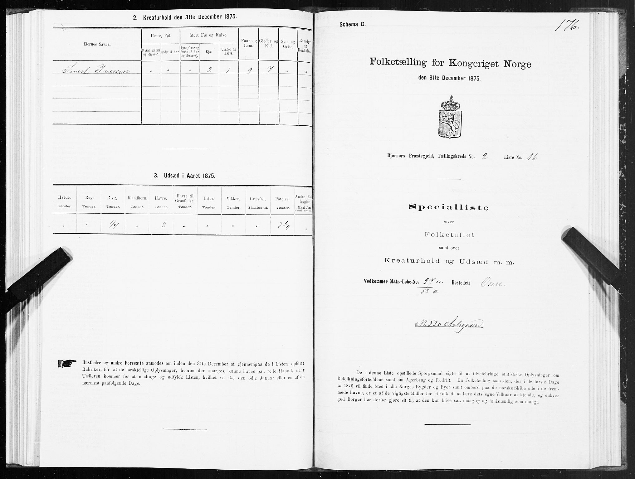 SAT, Folketelling 1875 for 1632P Bjørnør prestegjeld, 1875, s. 1176