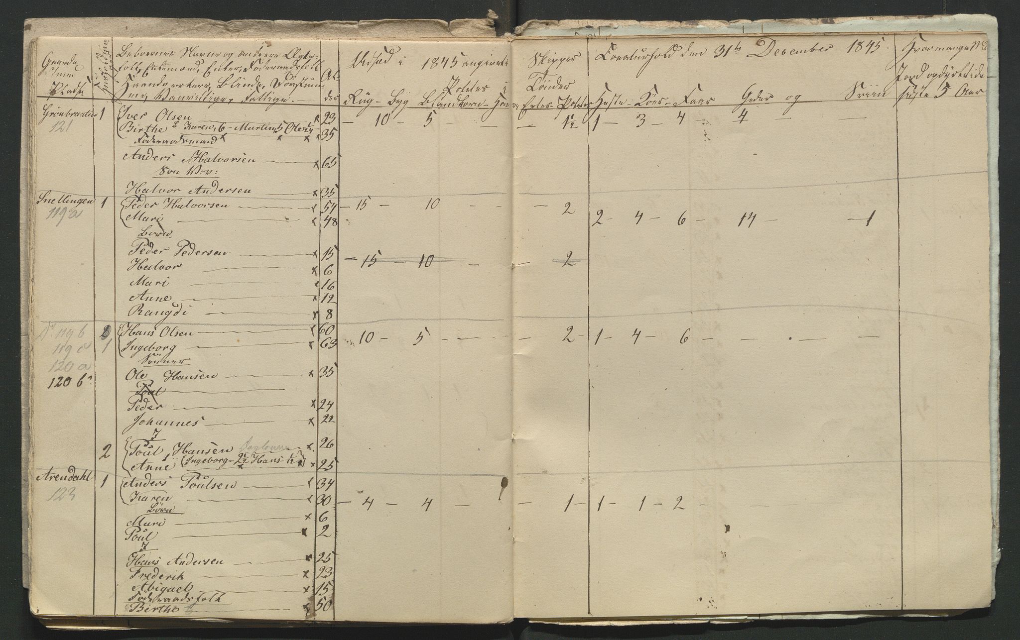 SAH, Lokaliasamlingen for Hedmark og Oppland fylker m.v.: Folketellingen 1845 for Jevnaker prestegjeld, 1845, s. 123