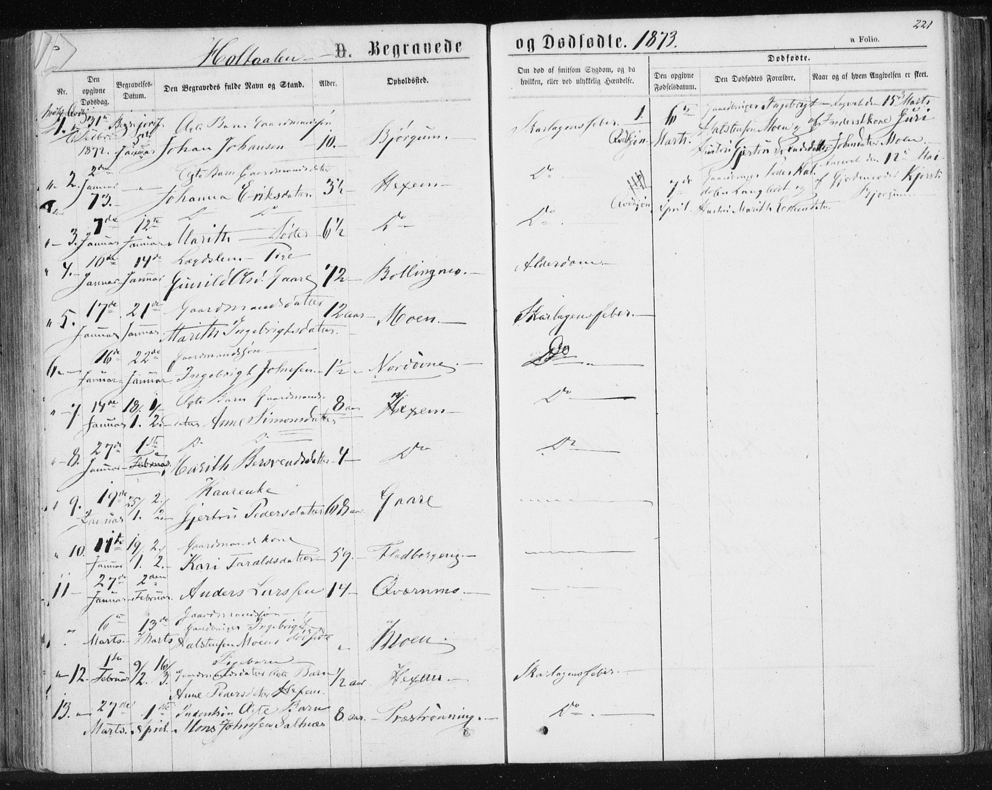 Ministerialprotokoller, klokkerbøker og fødselsregistre - Sør-Trøndelag, SAT/A-1456/685/L0969: Ministerialbok nr. 685A08 /1, 1870-1878, s. 221