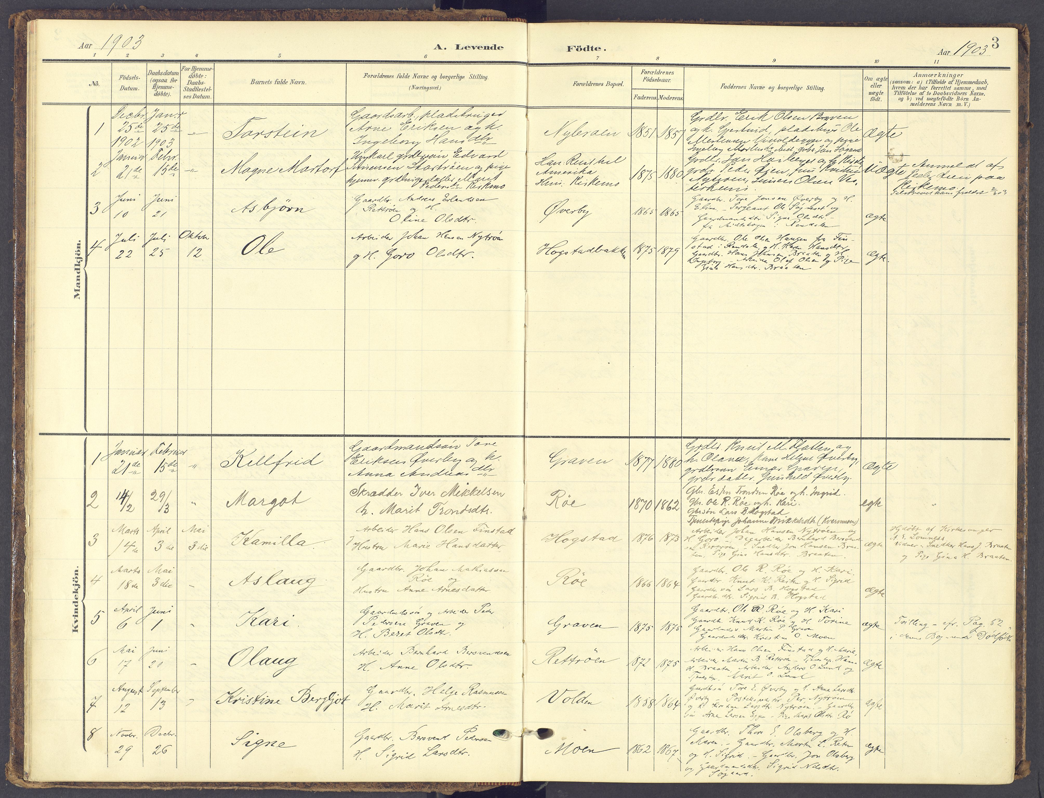 Tynset prestekontor, AV/SAH-PREST-058/H/Ha/Haa/L0028: Ministerialbok nr. 28, 1902-1929, s. 3