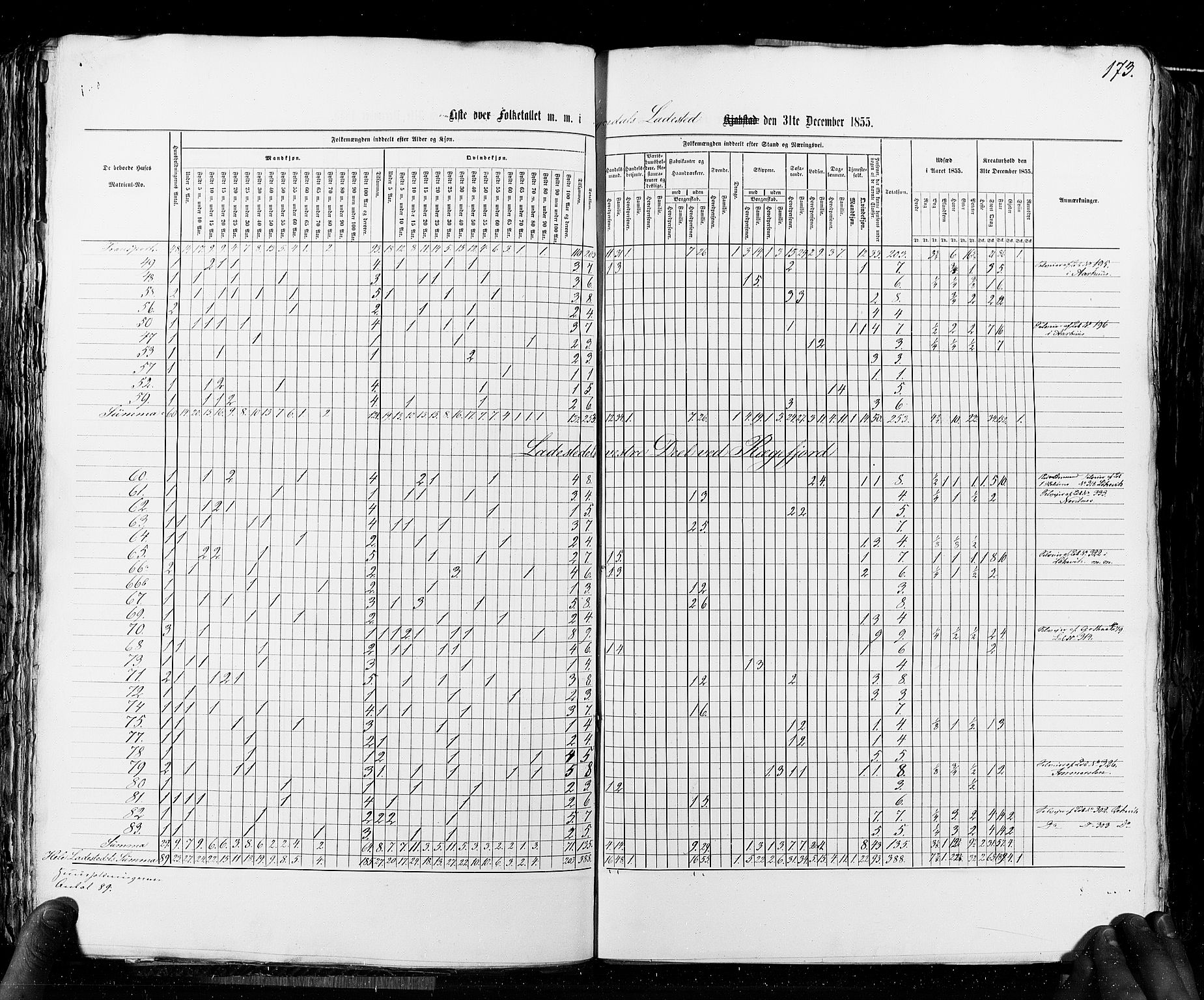 RA, Folketellingen 1855, bind 8: Kjøpsteder og ladesteder: Risør-Vadsø, 1855, s. 173