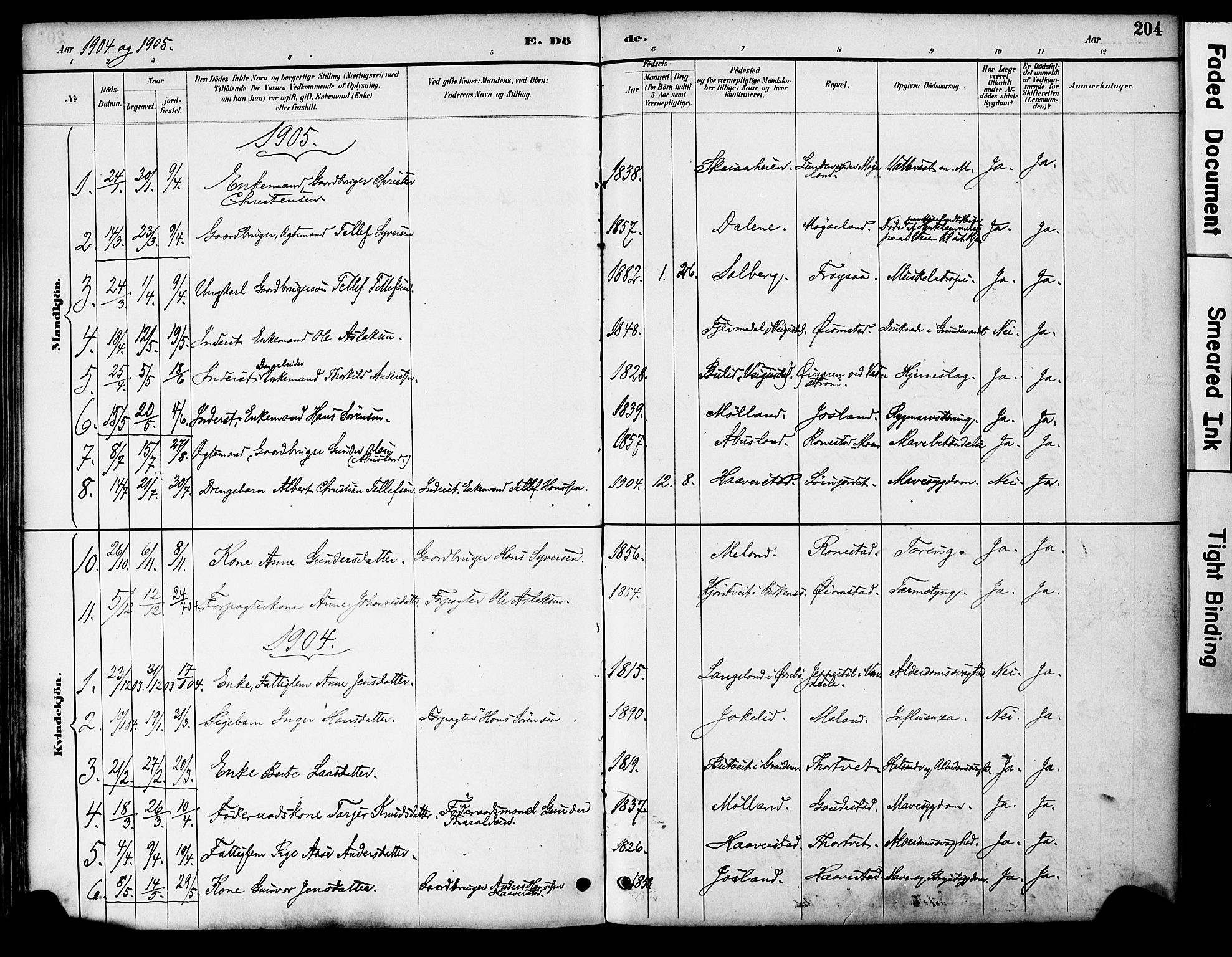 Evje sokneprestkontor, AV/SAK-1111-0008/F/Fa/Fac/L0003: Ministerialbok nr. A 3, 1884-1909, s. 204