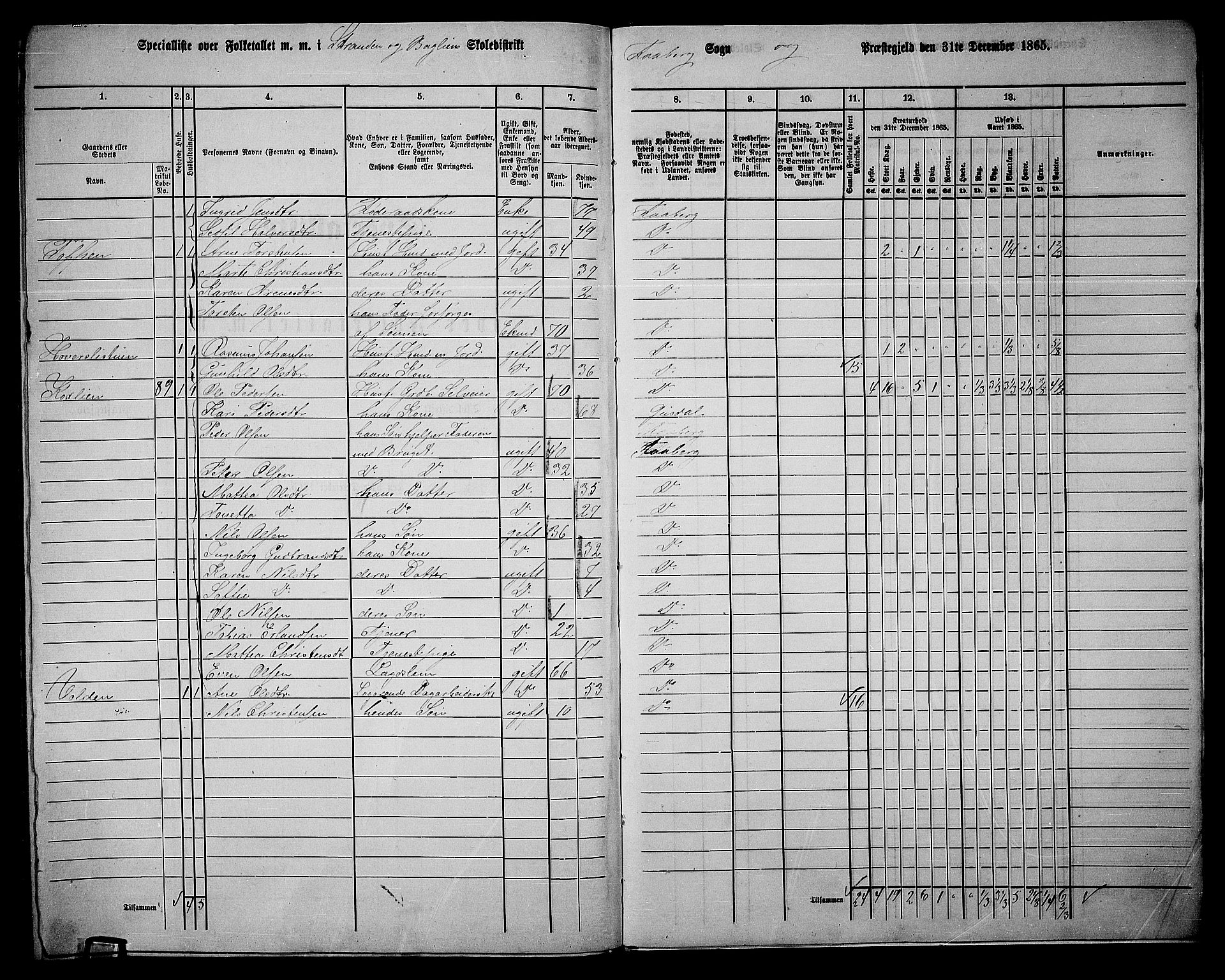 RA, Folketelling 1865 for 0524L Fåberg prestegjeld, Fåberg sokn og Lillehammer landsokn, 1865, s. 260