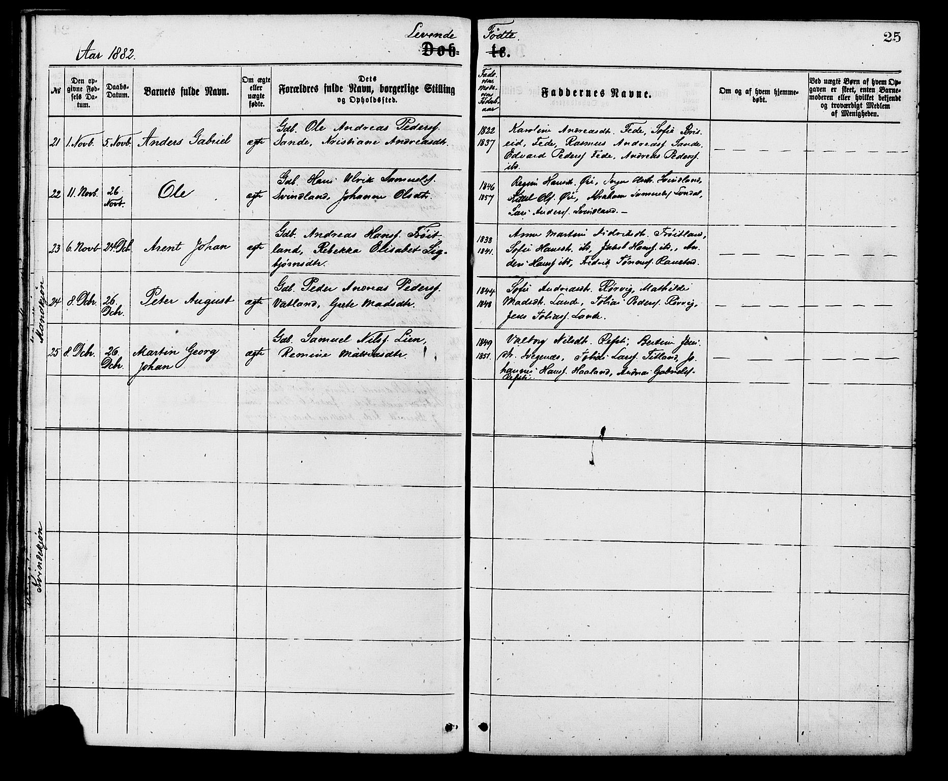 Kvinesdal sokneprestkontor, AV/SAK-1111-0026/F/Fa/Faa/L0003: Ministerialbok nr. A 3, 1877-1882, s. 25