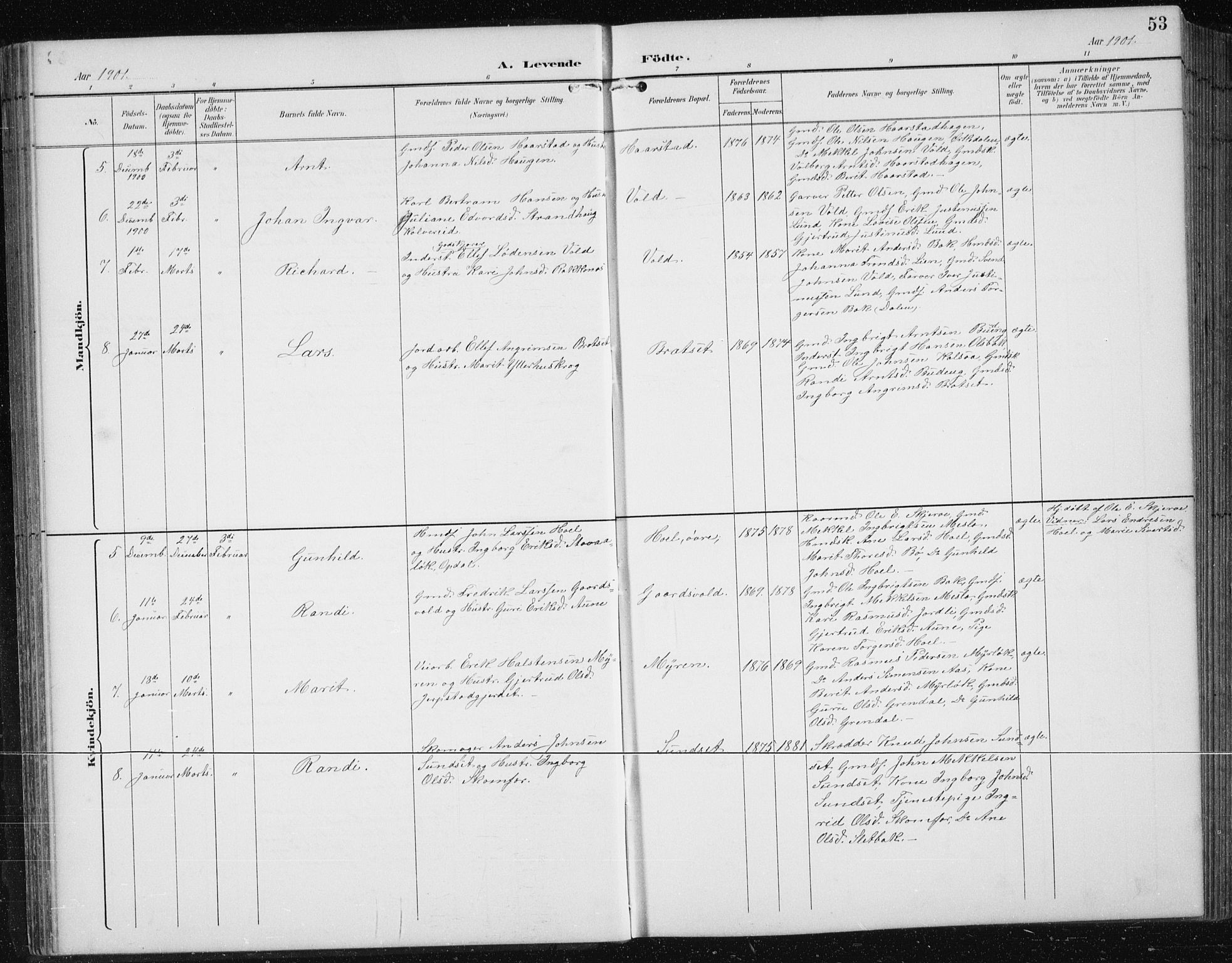 Ministerialprotokoller, klokkerbøker og fødselsregistre - Sør-Trøndelag, SAT/A-1456/674/L0876: Klokkerbok nr. 674C03, 1892-1912, s. 53