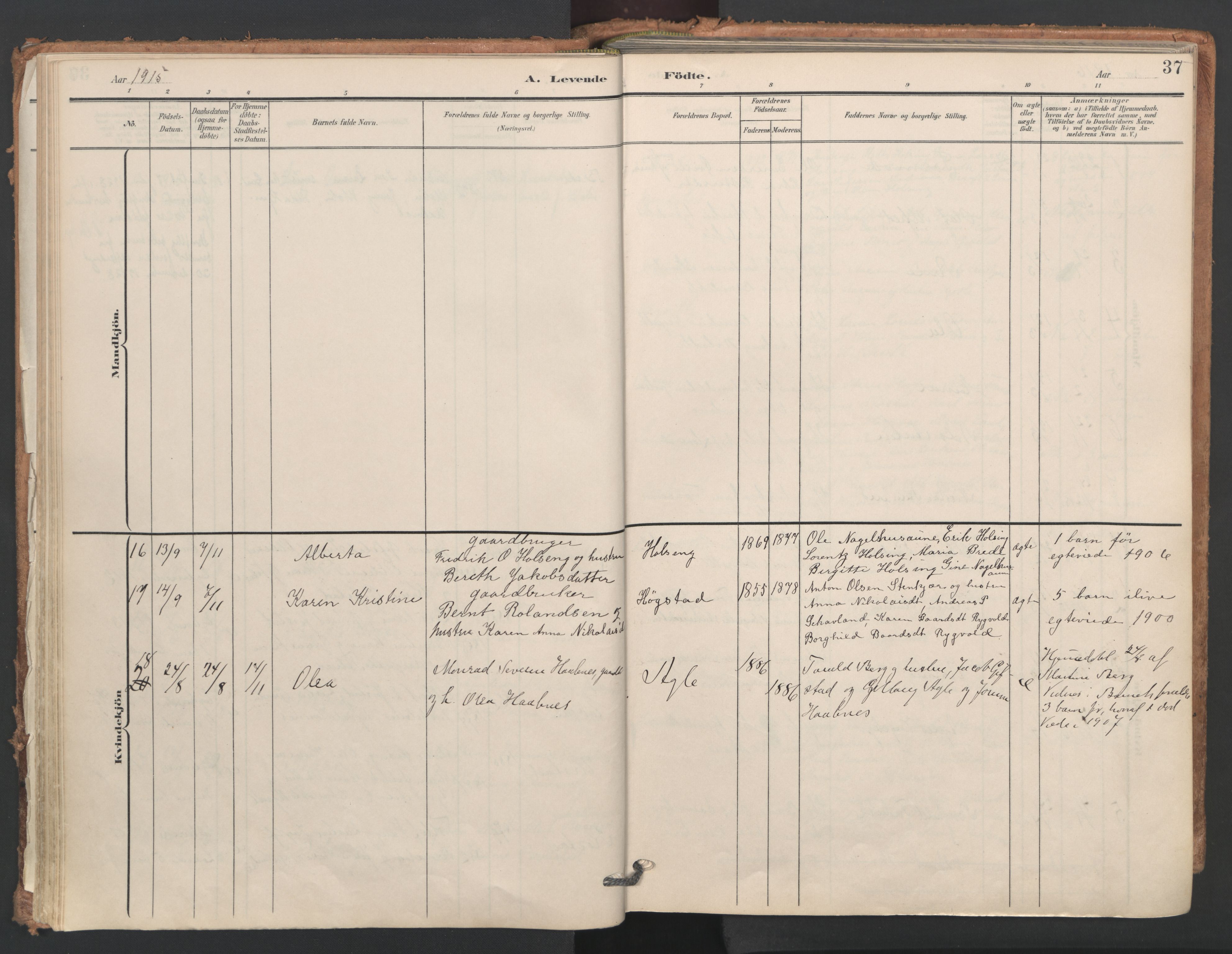 Ministerialprotokoller, klokkerbøker og fødselsregistre - Nord-Trøndelag, AV/SAT-A-1458/749/L0477: Ministerialbok nr. 749A11, 1902-1927, s. 37
