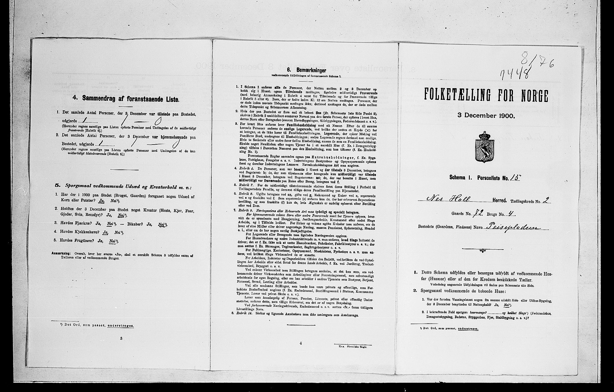 RA, Folketelling 1900 for 0616 Nes herred, 1900, s. 42