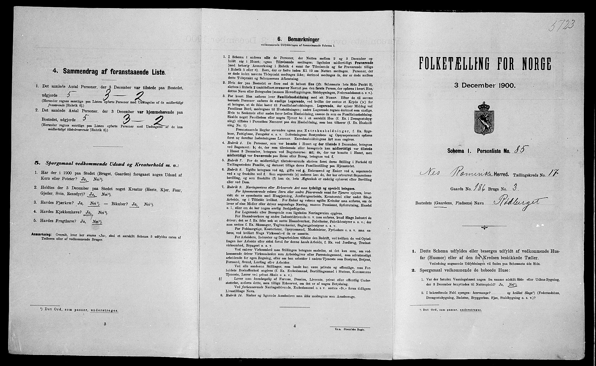 SAO, Folketelling 1900 for 0236 Nes herred, 1900