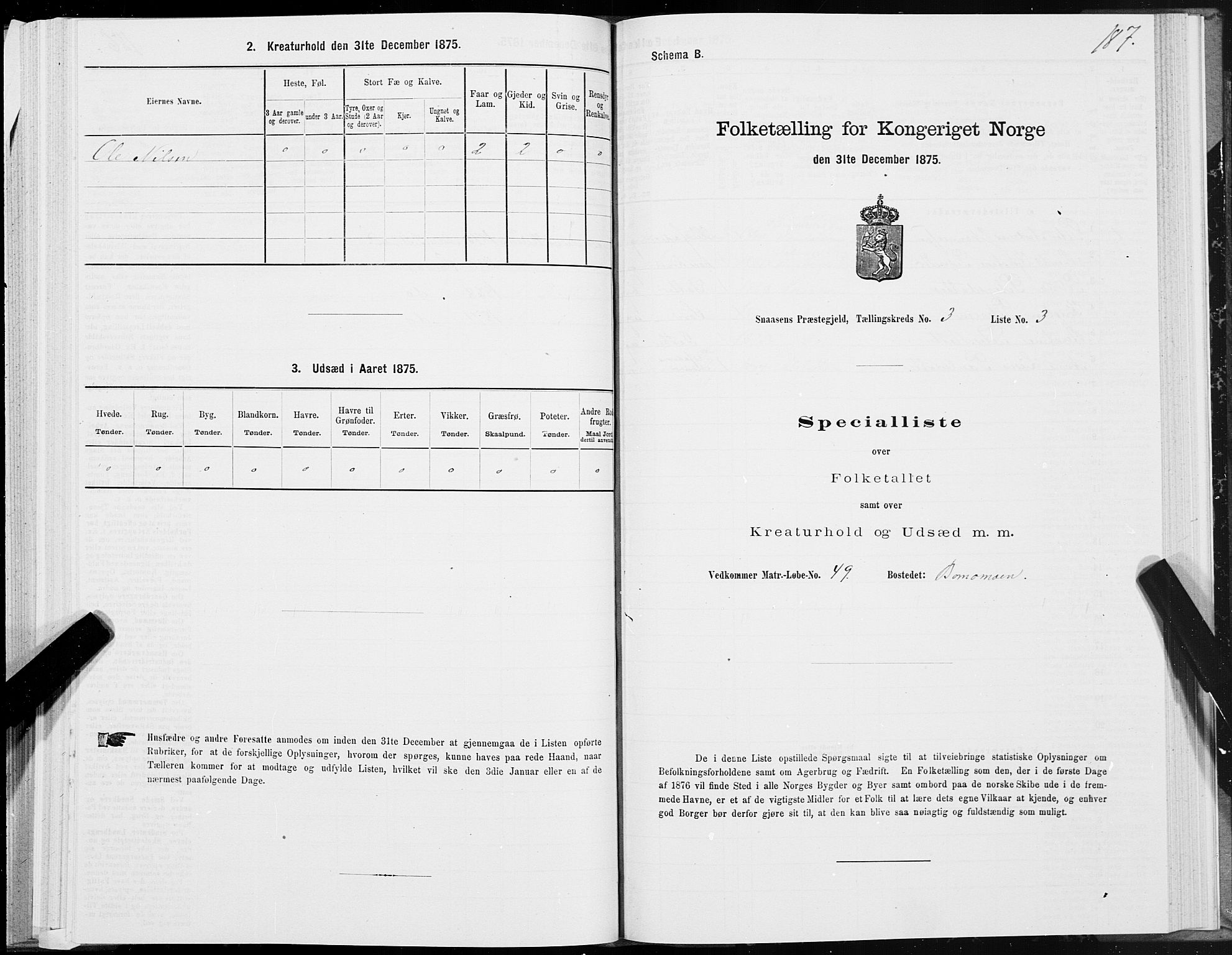 SAT, Folketelling 1875 for 1736P Snåsa prestegjeld, 1875, s. 1187