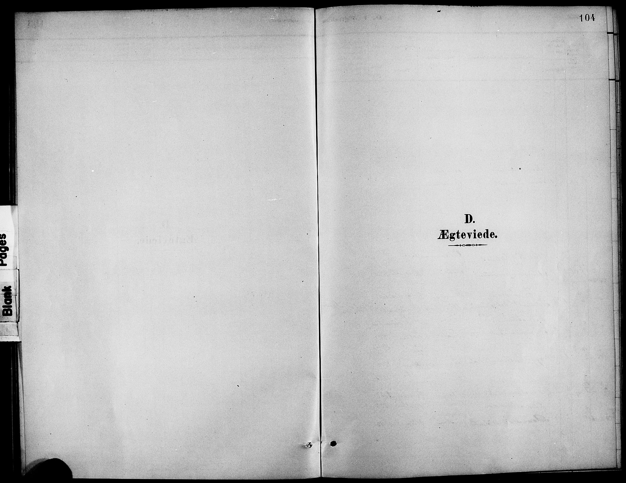 Etne sokneprestembete, SAB/A-75001/H/Hab: Klokkerbok nr. C 4, 1879-1896, s. 104