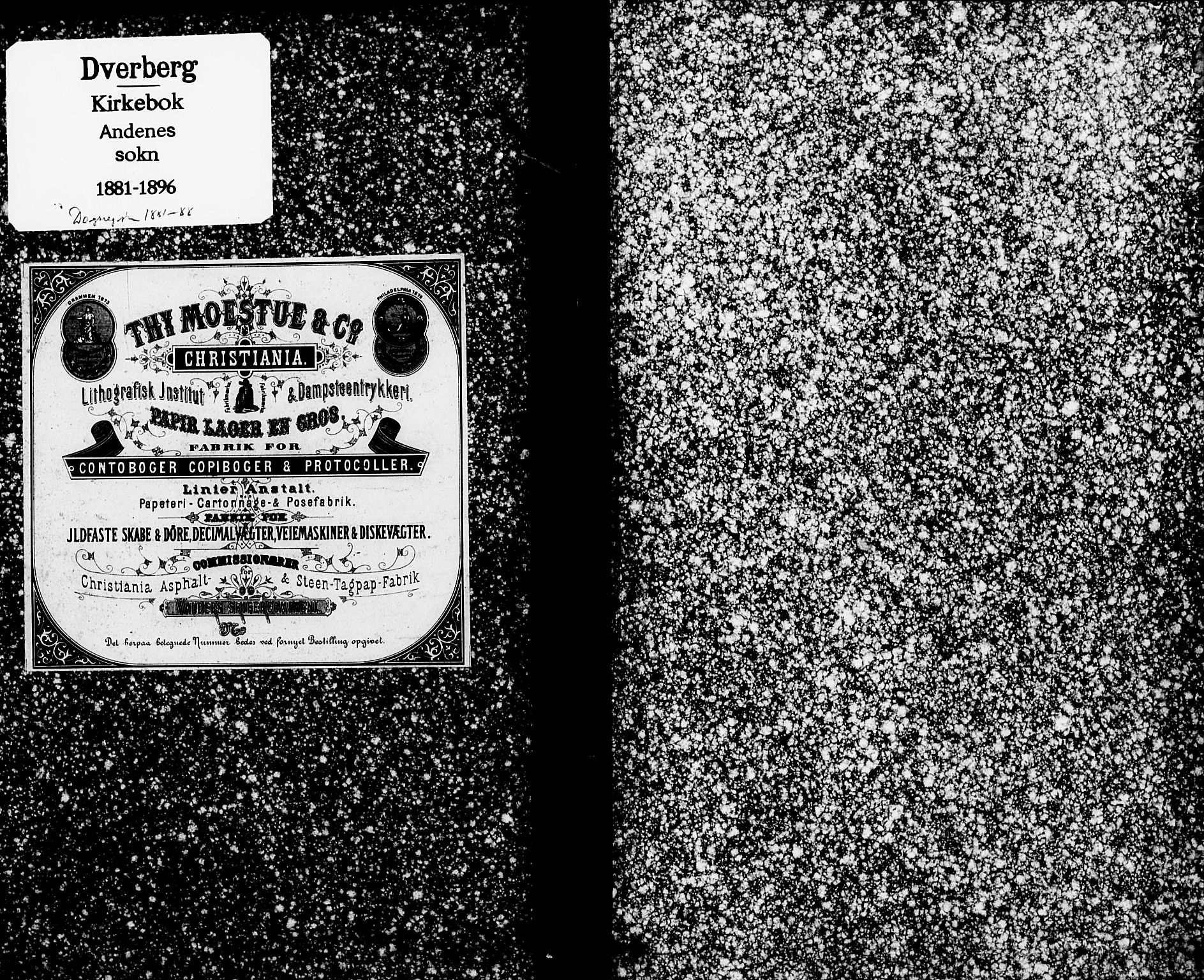 Ministerialprotokoller, klokkerbøker og fødselsregistre - Nordland, AV/SAT-A-1459/899/L1436: Ministerialbok nr. 899A04, 1881-1896