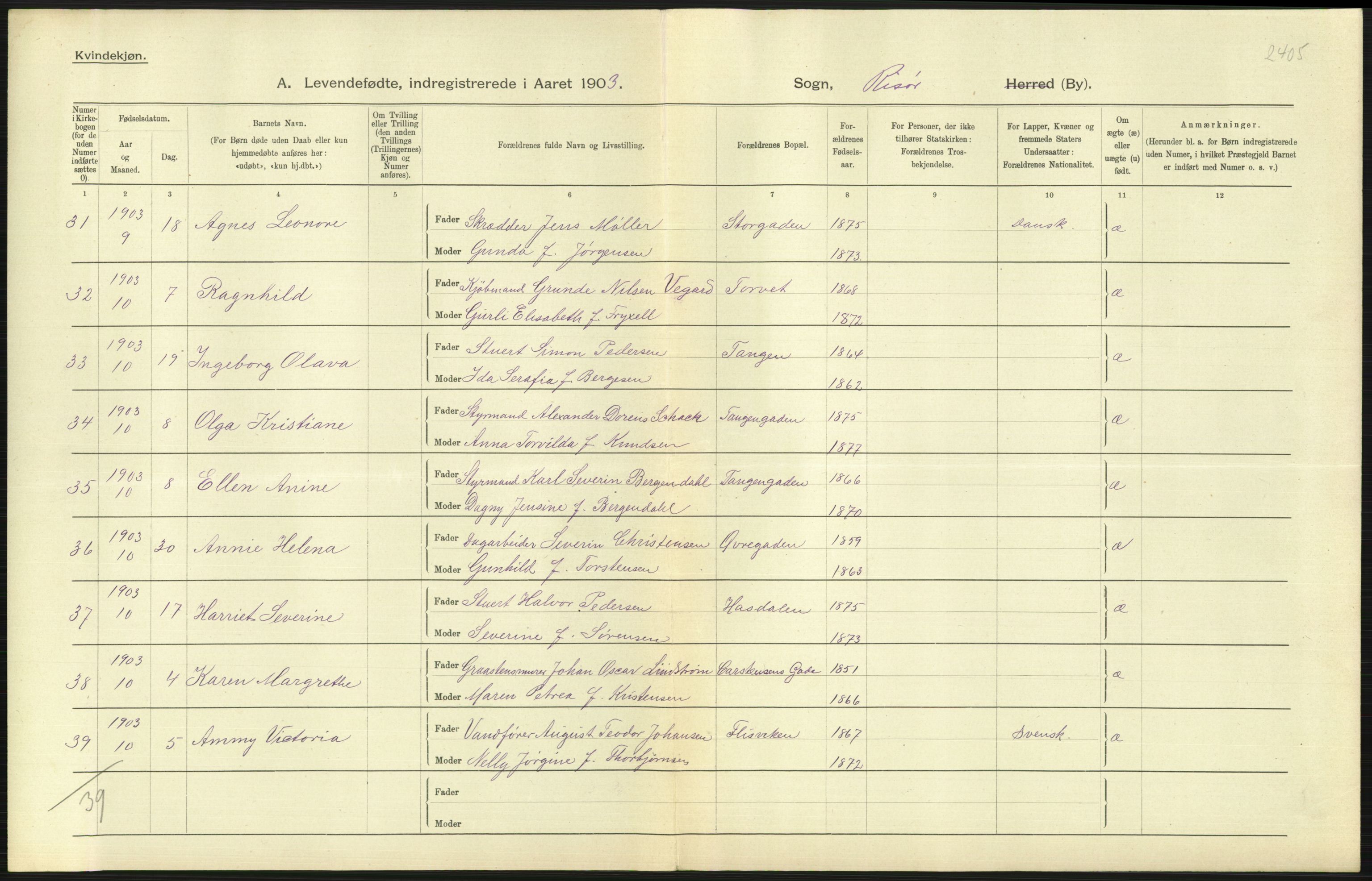 Statistisk sentralbyrå, Sosiodemografiske emner, Befolkning, AV/RA-S-2228/D/Df/Dfa/Dfaa/L0010: Nedenes amt: Fødte, gifte, døde, 1903, s. 207