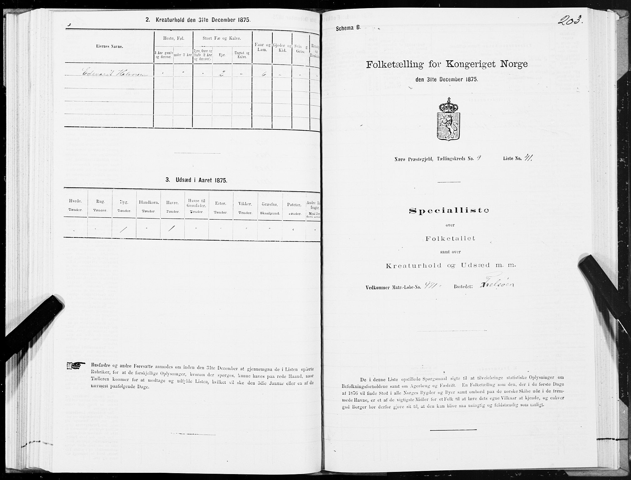 SAT, Folketelling 1875 for 1751P Nærøy prestegjeld, 1875, s. 4203