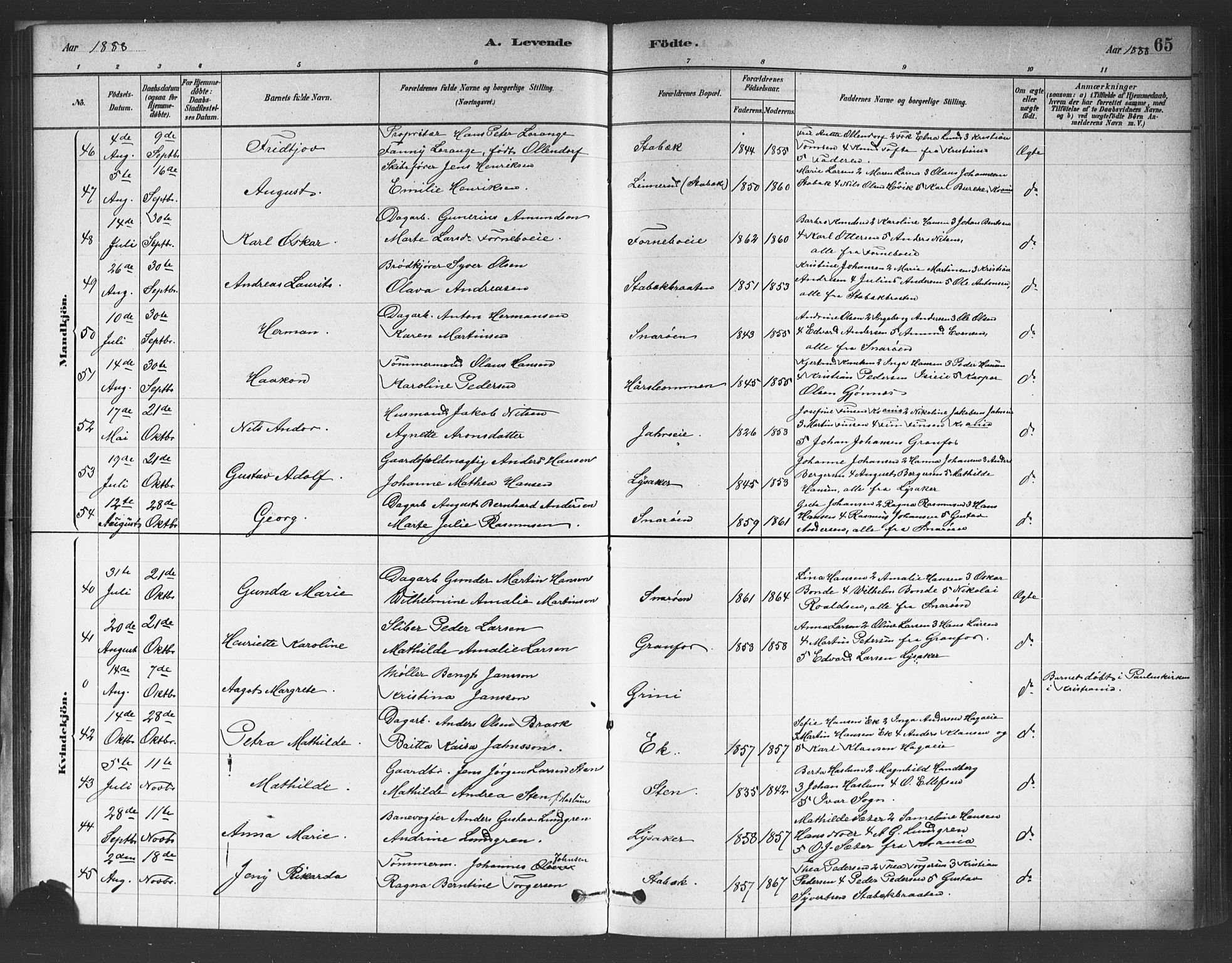 Asker prestekontor Kirkebøker, AV/SAO-A-10256a/F/Fc/L0001: Ministerialbok nr. III 1, 1879-1892, s. 65