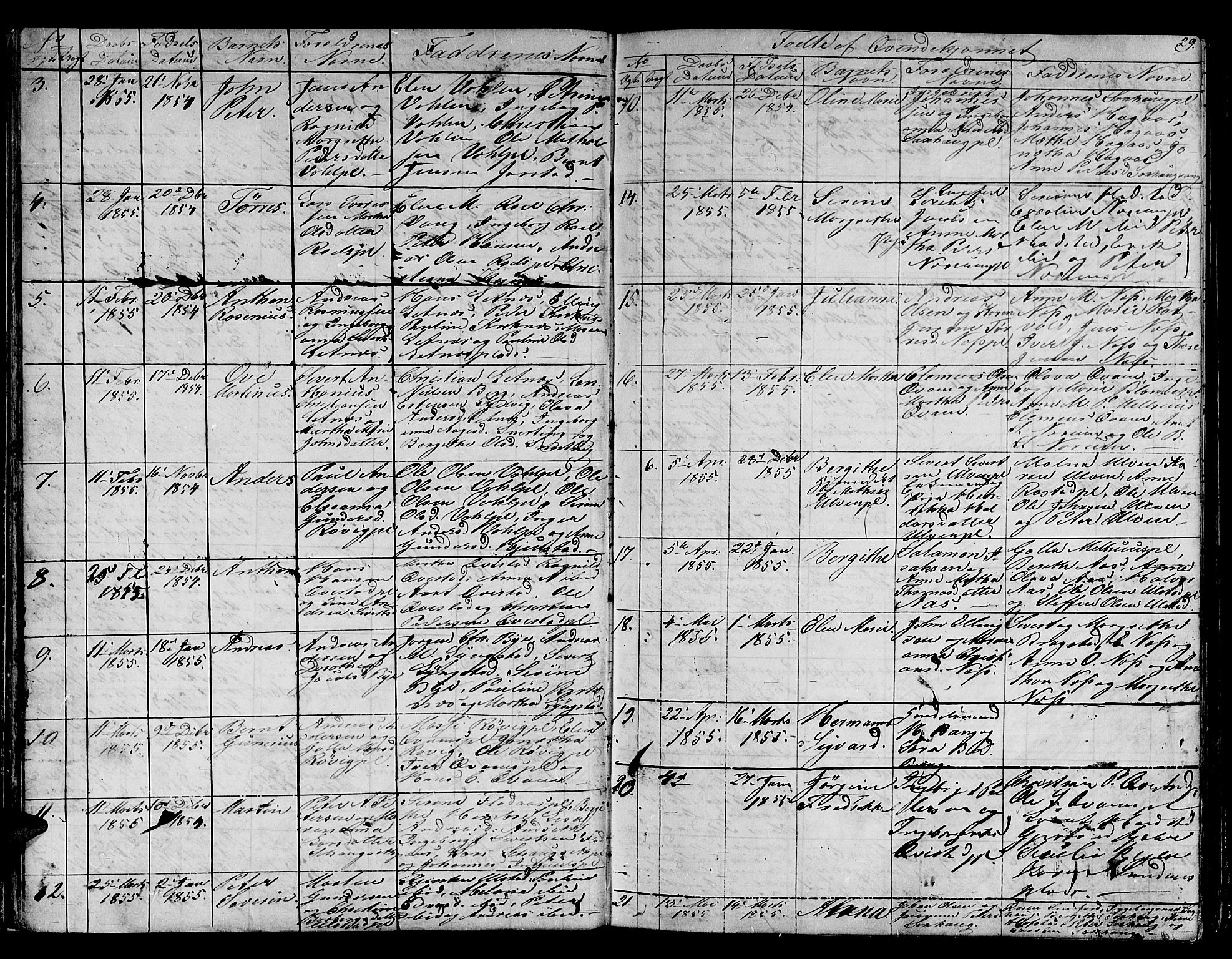 Ministerialprotokoller, klokkerbøker og fødselsregistre - Nord-Trøndelag, SAT/A-1458/730/L0299: Klokkerbok nr. 730C02, 1849-1871, s. 29