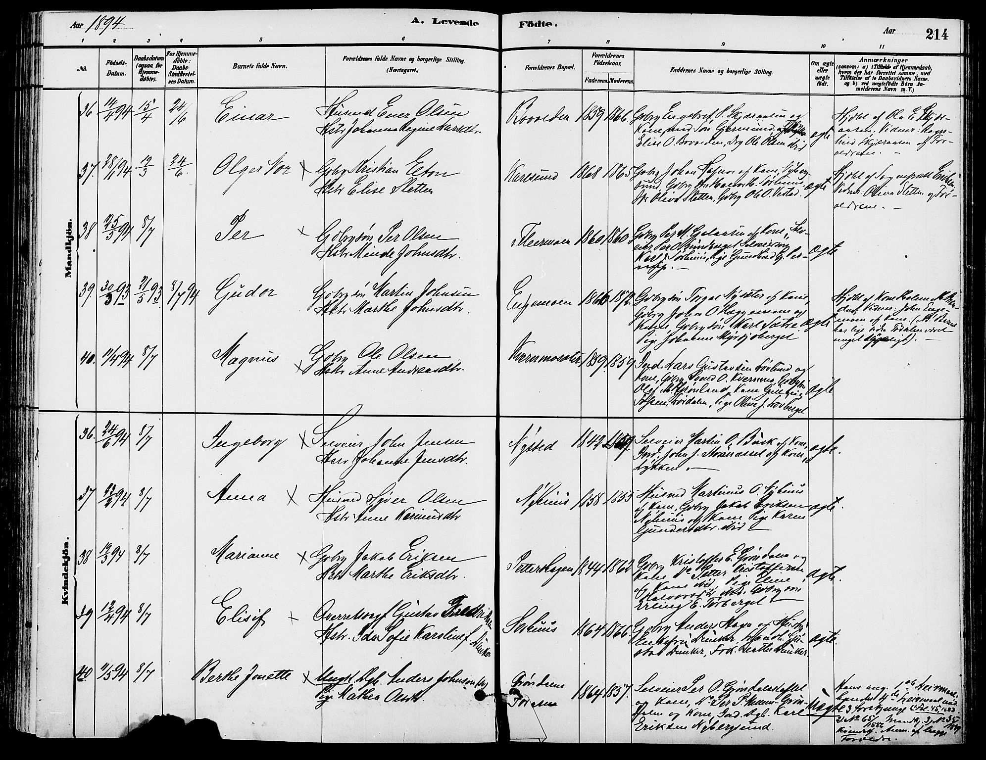 Trysil prestekontor, AV/SAH-PREST-046/H/Ha/Haa/L0008: Ministerialbok nr. 8, 1881-1897, s. 214