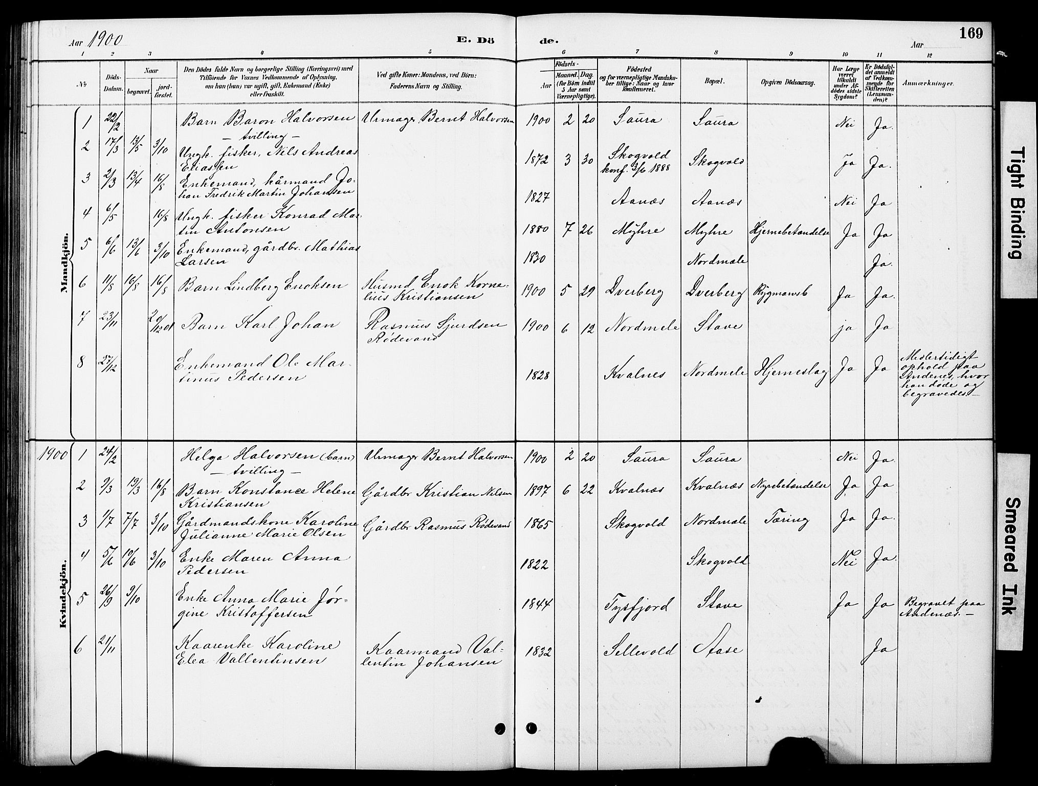 Ministerialprotokoller, klokkerbøker og fødselsregistre - Nordland, AV/SAT-A-1459/897/L1413: Klokkerbok nr. 897C03, 1887-1903, s. 169