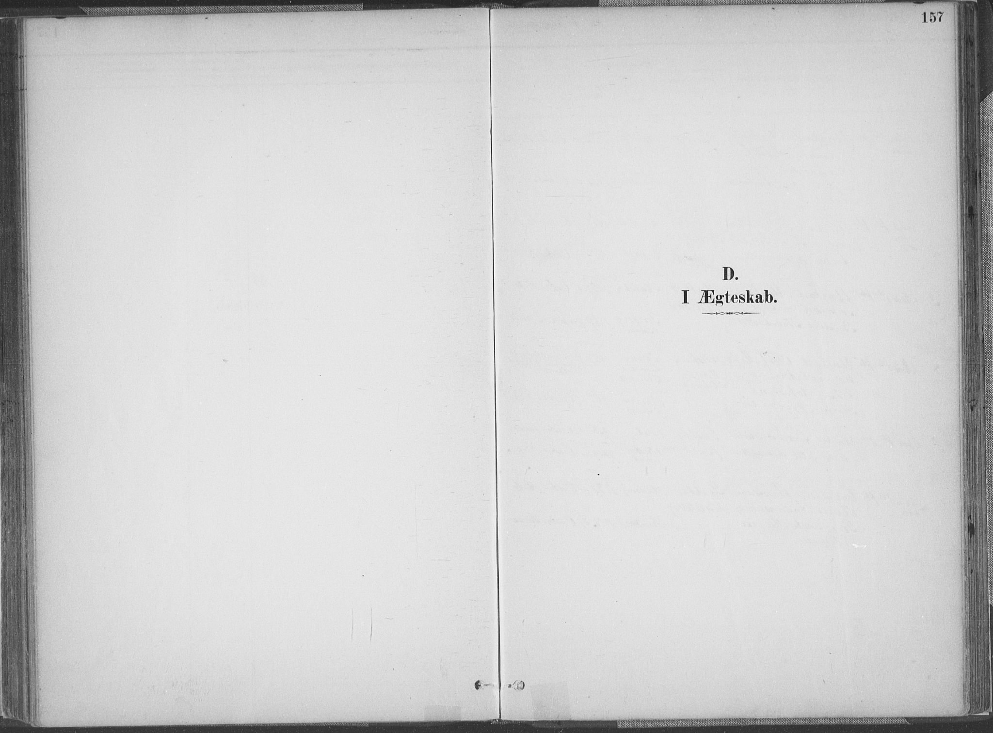 Lyngdal sokneprestkontor, SAK/1111-0029/F/Fa/Faa/L0004: Ministerialbok nr. A 4, 1883-1904, s. 157