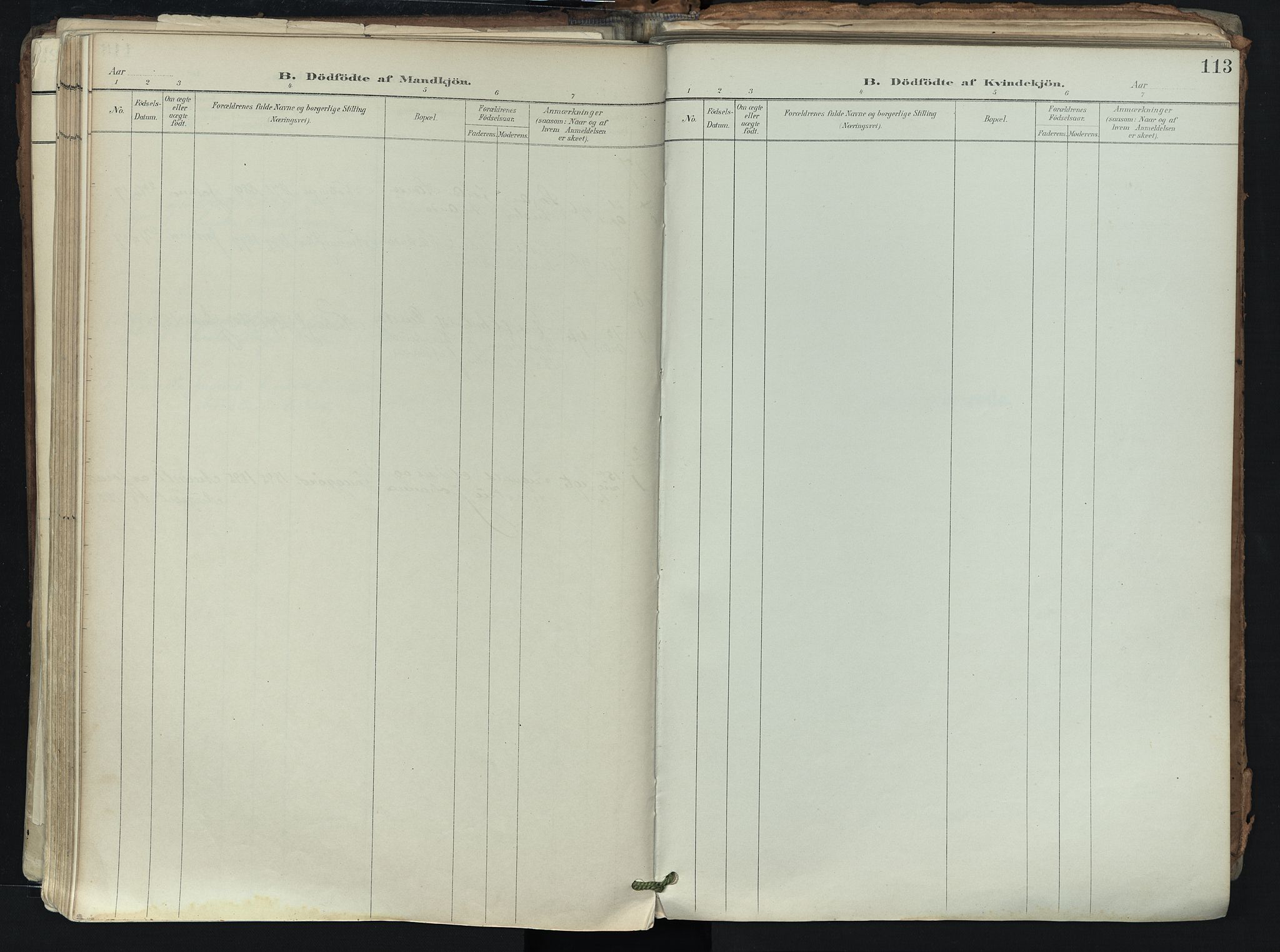 Brunlanes kirkebøker, SAKO/A-342/F/Fb/L0003: Ministerialbok nr. II 3, 1900-1922, s. 113