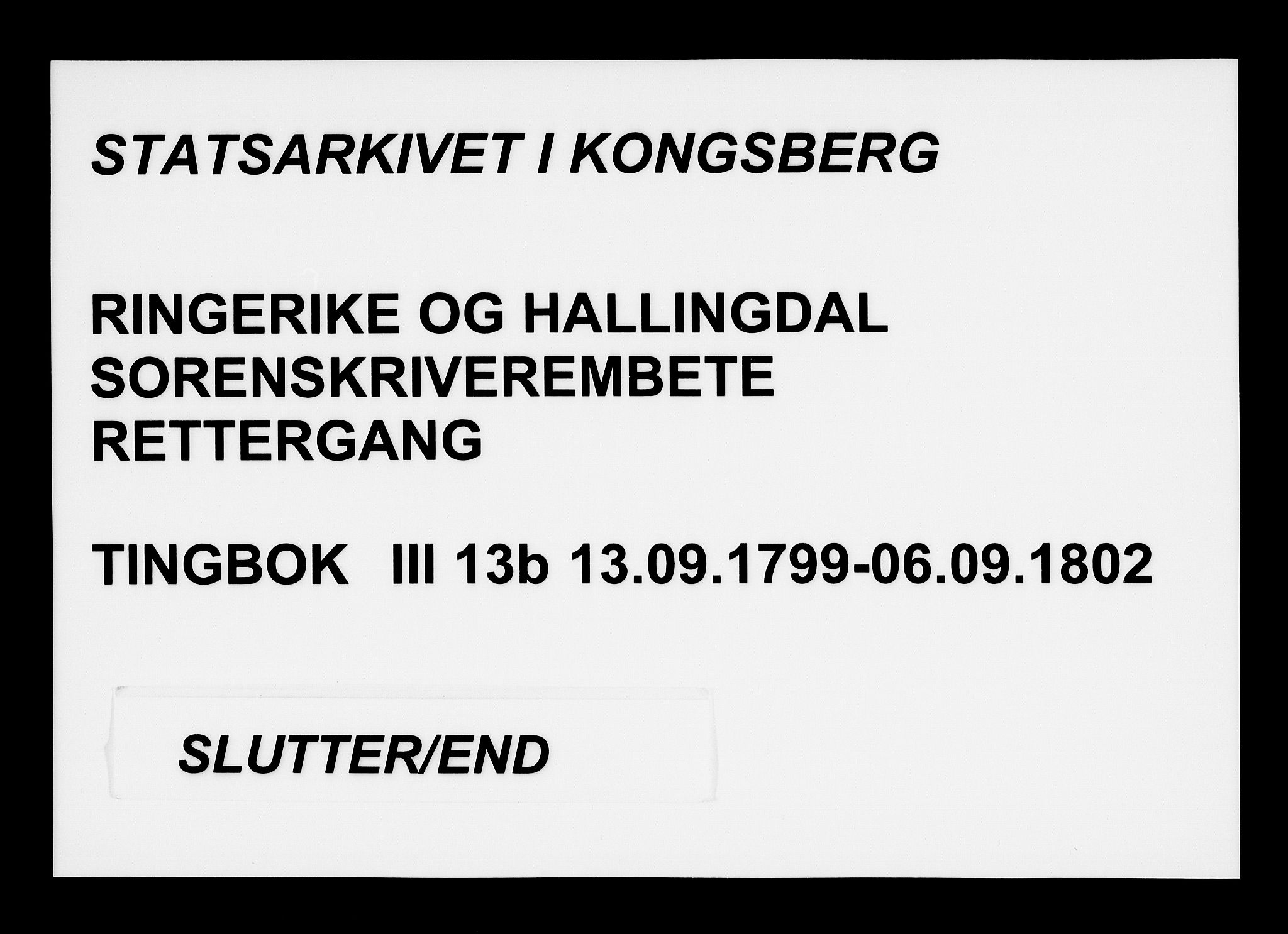 Ringerike og Hallingdal sorenskriveri, AV/SAKO-A-81/F/Fa/Fac/L0013b: Tingbok - Ringerike, 1799-1802