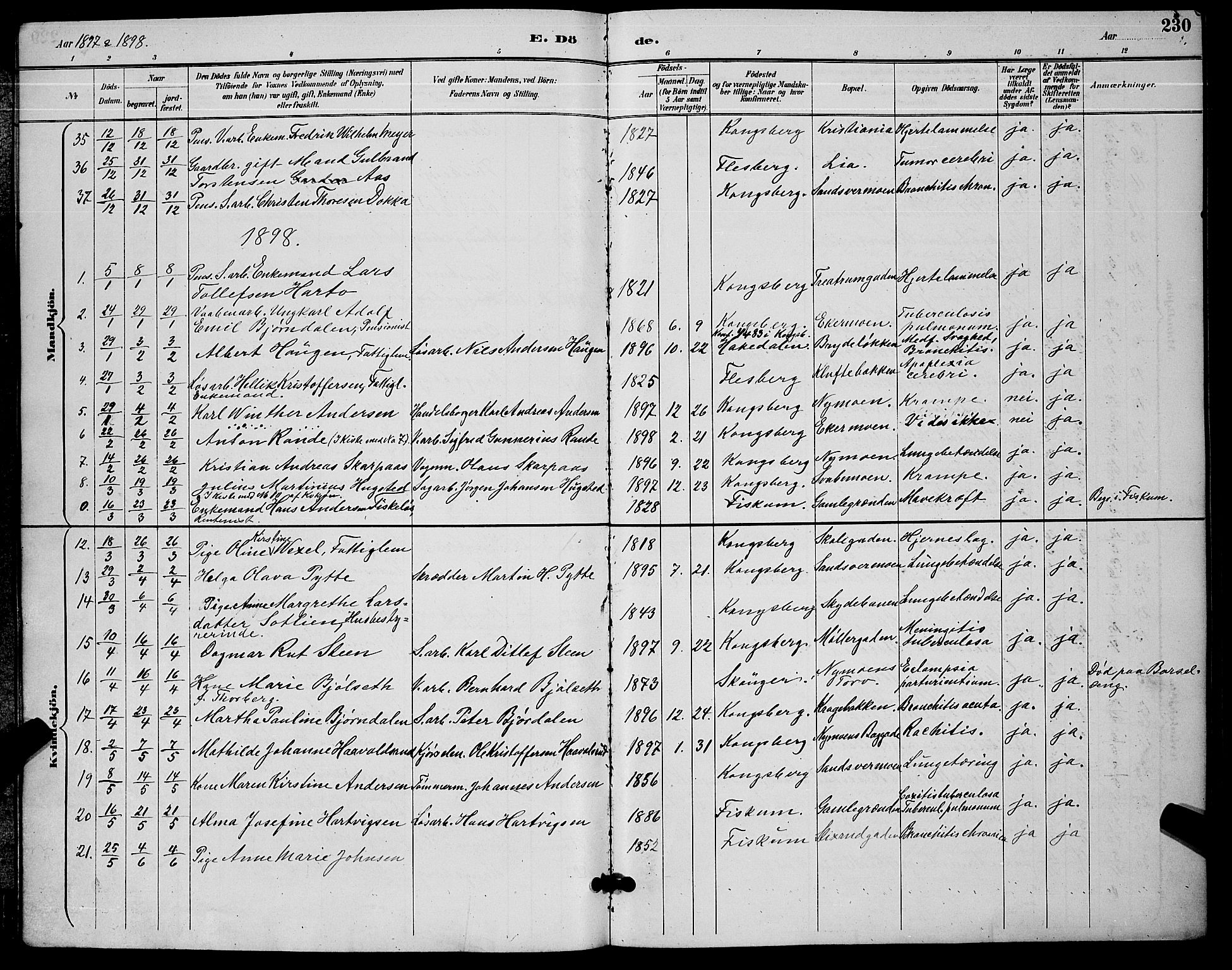 Kongsberg kirkebøker, AV/SAKO-A-22/G/Ga/L0006: Klokkerbok nr. 6, 1890-1901, s. 230