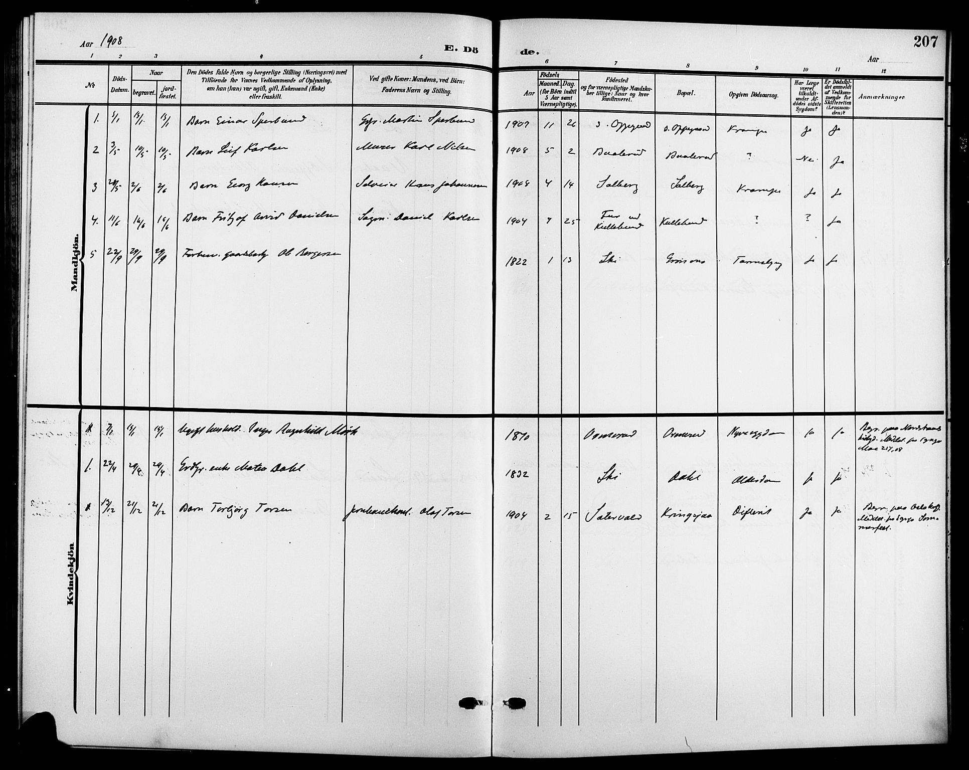 Nesodden prestekontor Kirkebøker, AV/SAO-A-10013/G/Gb/L0001: Klokkerbok nr. II 1, 1905-1924, s. 207