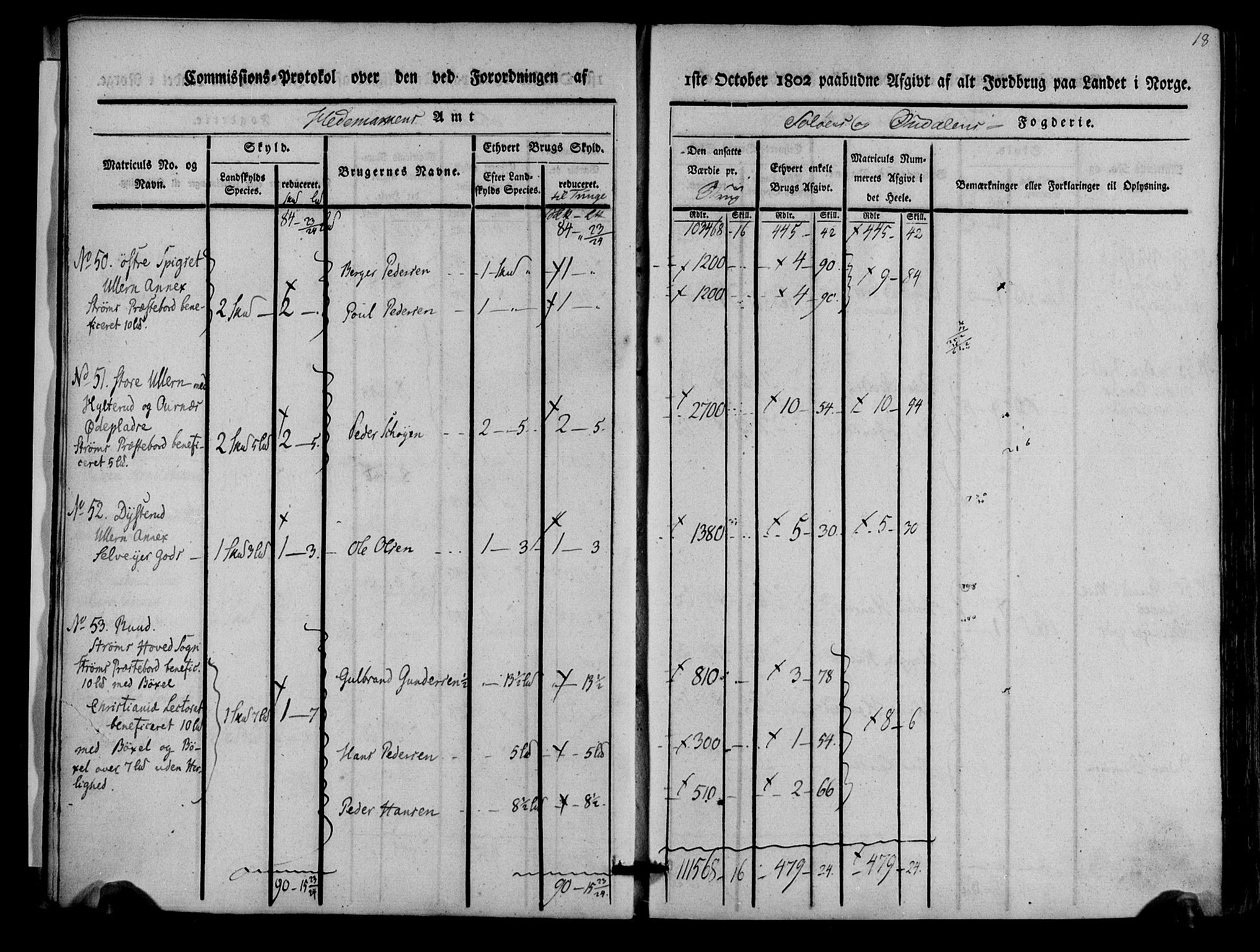 Rentekammeret inntil 1814, Realistisk ordnet avdeling, AV/RA-EA-4070/N/Ne/Nea/L0025: Solør og Odal fogderi. Kommisjonsprotokoll, 1803, s. 19