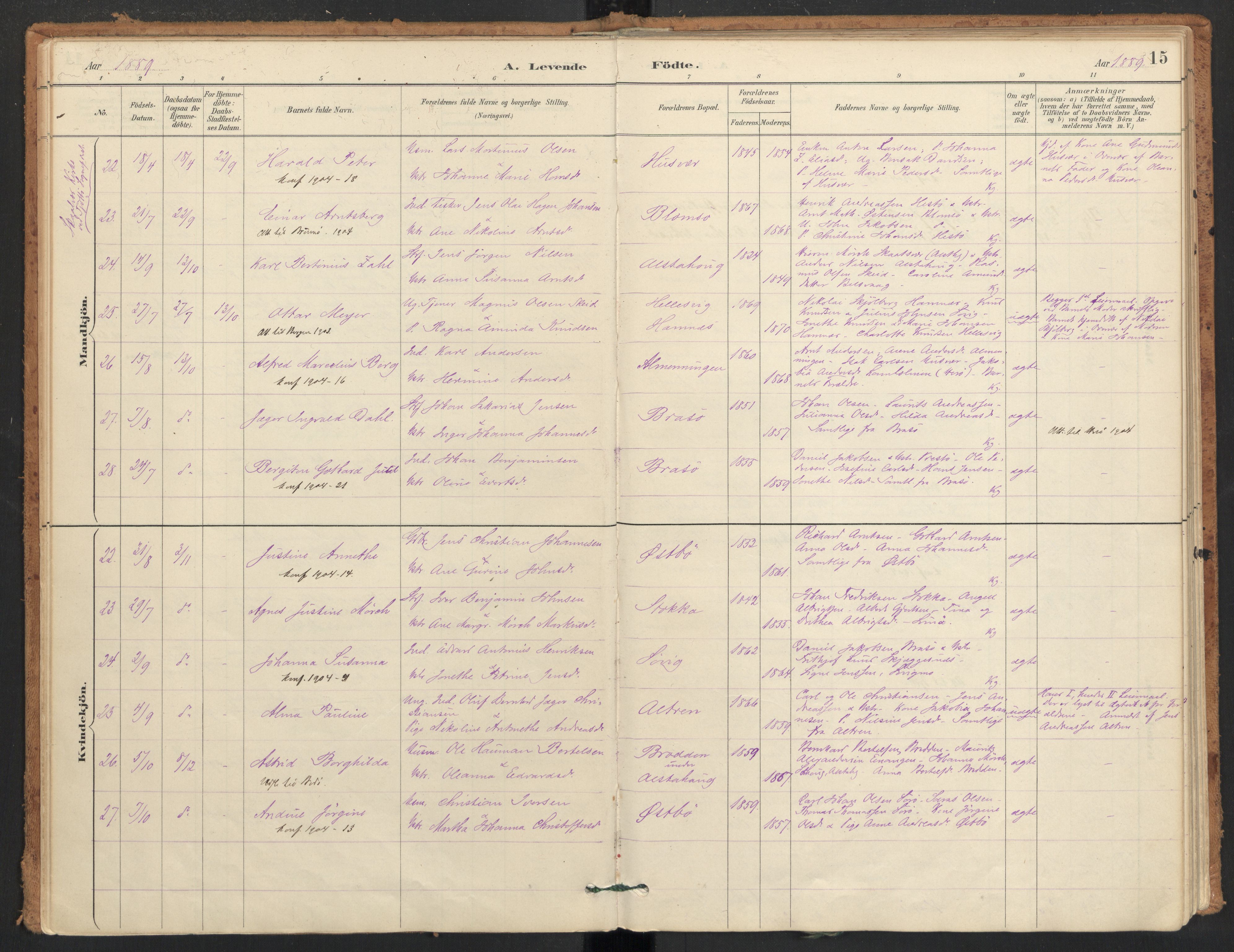 Ministerialprotokoller, klokkerbøker og fødselsregistre - Nordland, AV/SAT-A-1459/830/L0453: Ministerialbok nr. 830A17, 1886-1911, s. 15