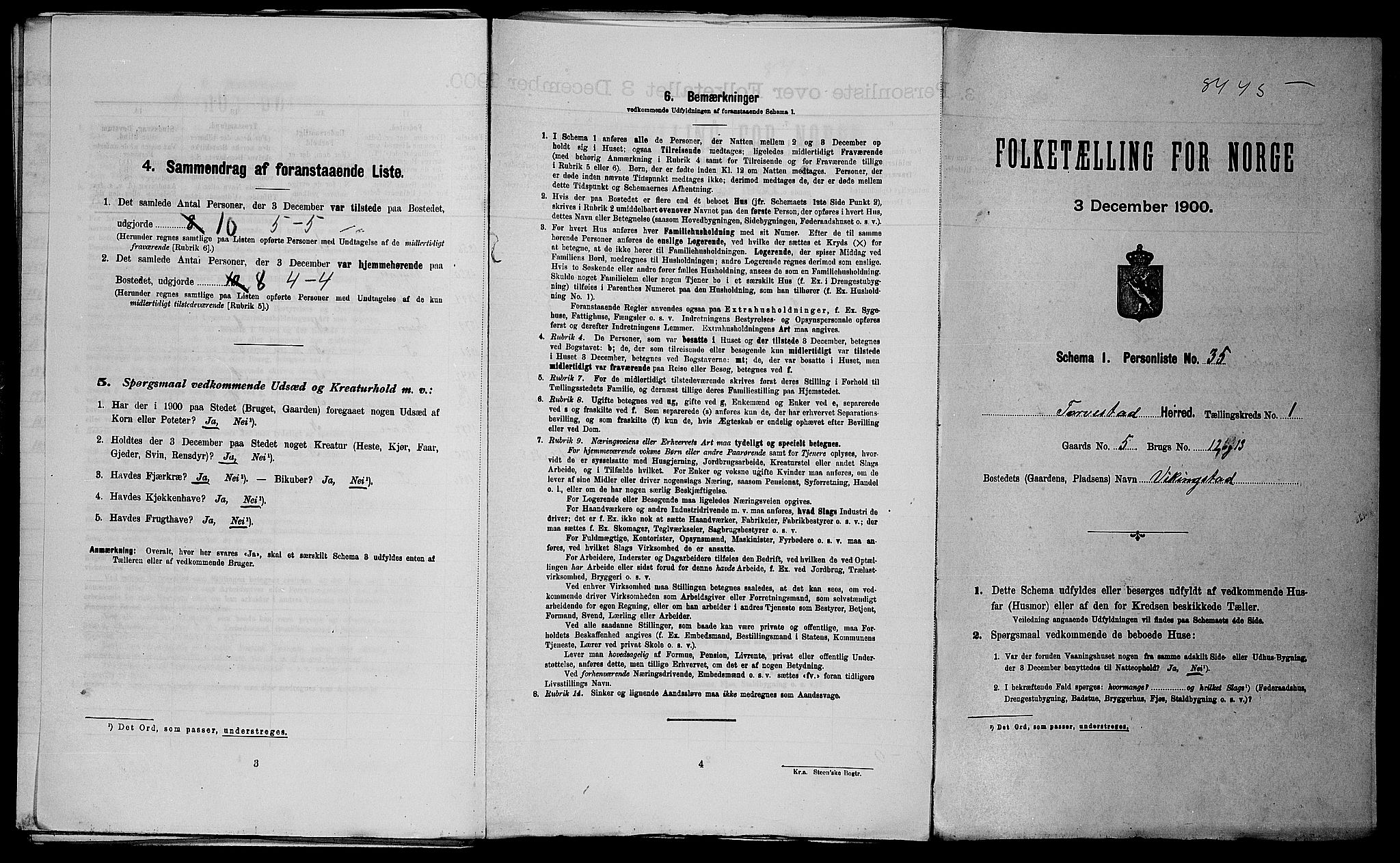 SAST, Folketelling 1900 for 1152 Torvastad herred, 1900, s. 133