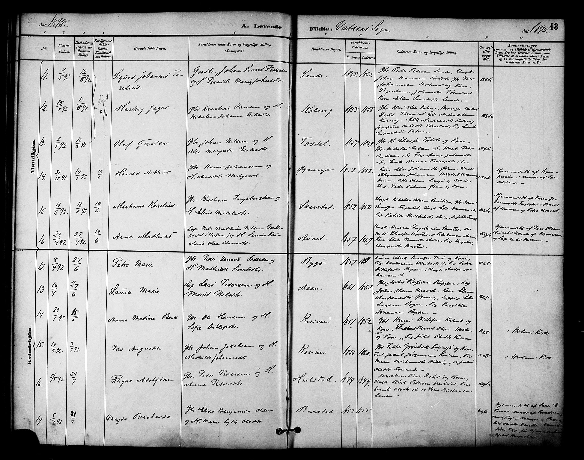 Ministerialprotokoller, klokkerbøker og fødselsregistre - Nordland, SAT/A-1459/810/L0150: Ministerialbok nr. 810A10 /1, 1884-1895, s. 43
