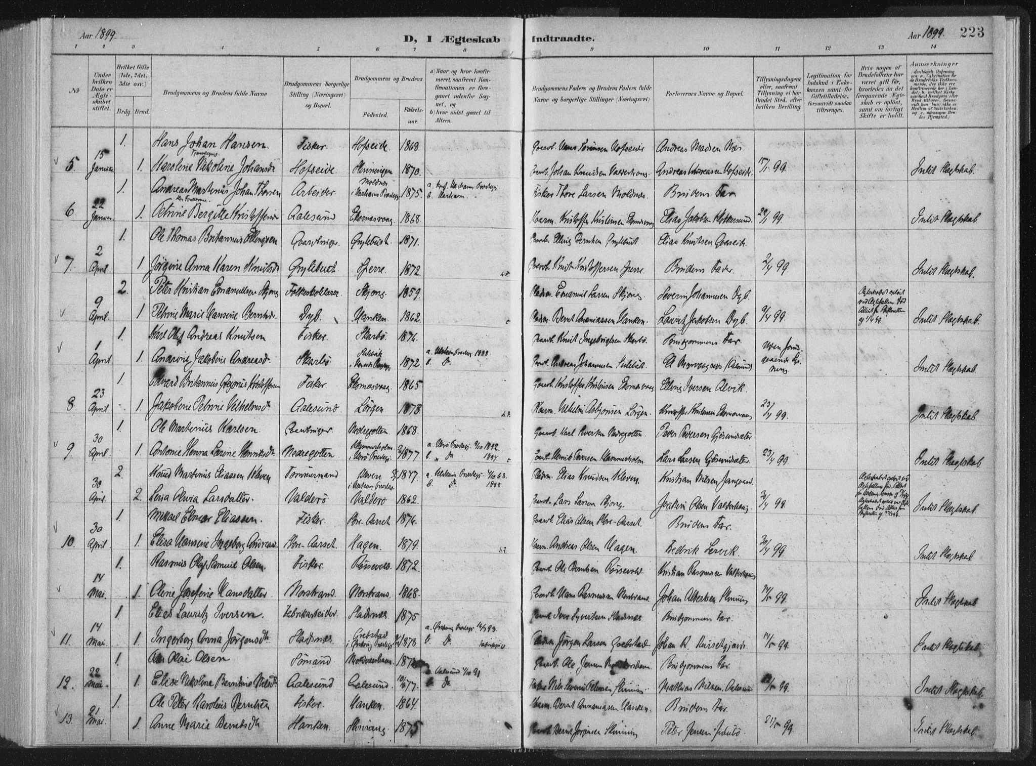 Ministerialprotokoller, klokkerbøker og fødselsregistre - Møre og Romsdal, AV/SAT-A-1454/528/L0405: Ministerialbok nr. 528A14, 1891-1906, s. 223