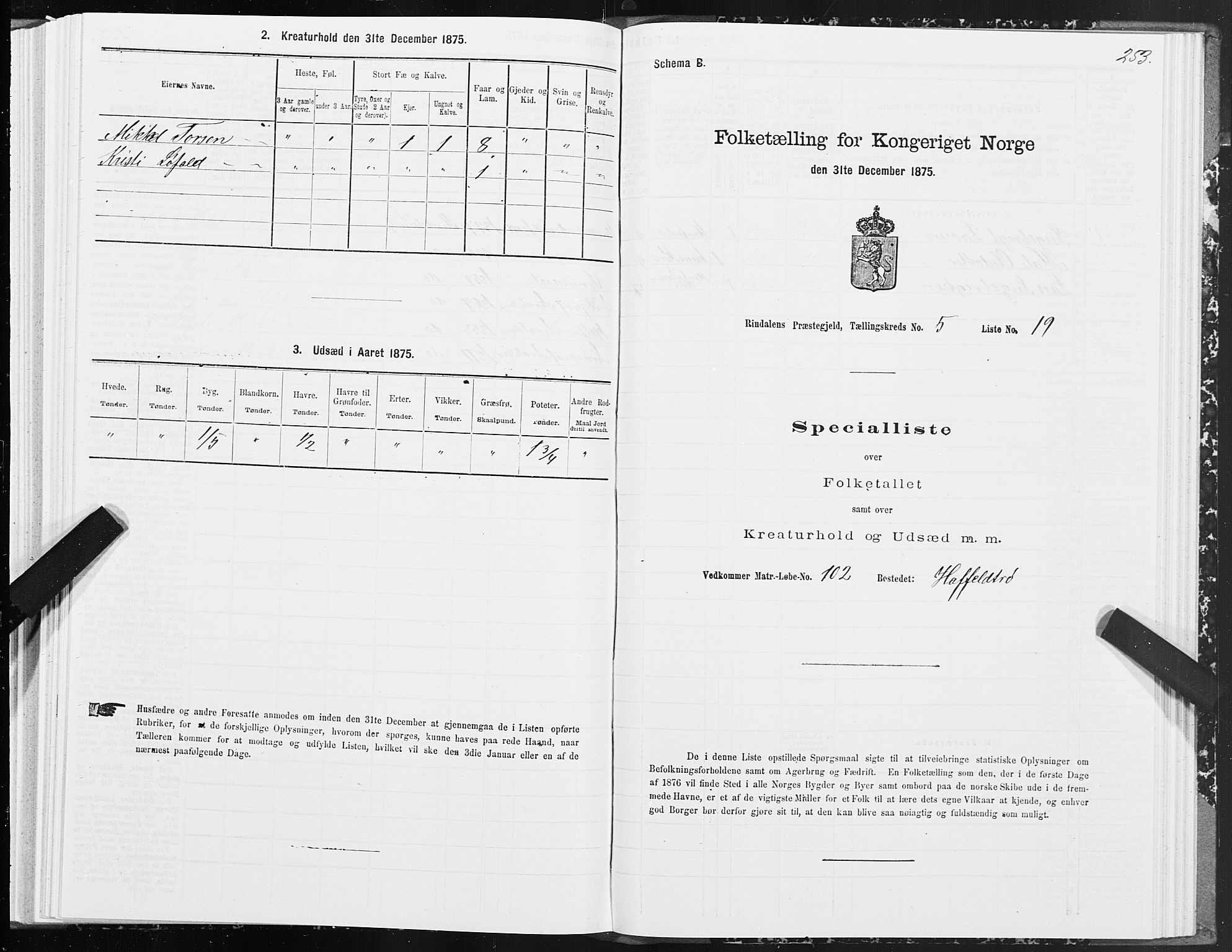 SAT, Folketelling 1875 for 1567P Rindal prestegjeld, 1875, s. 2253